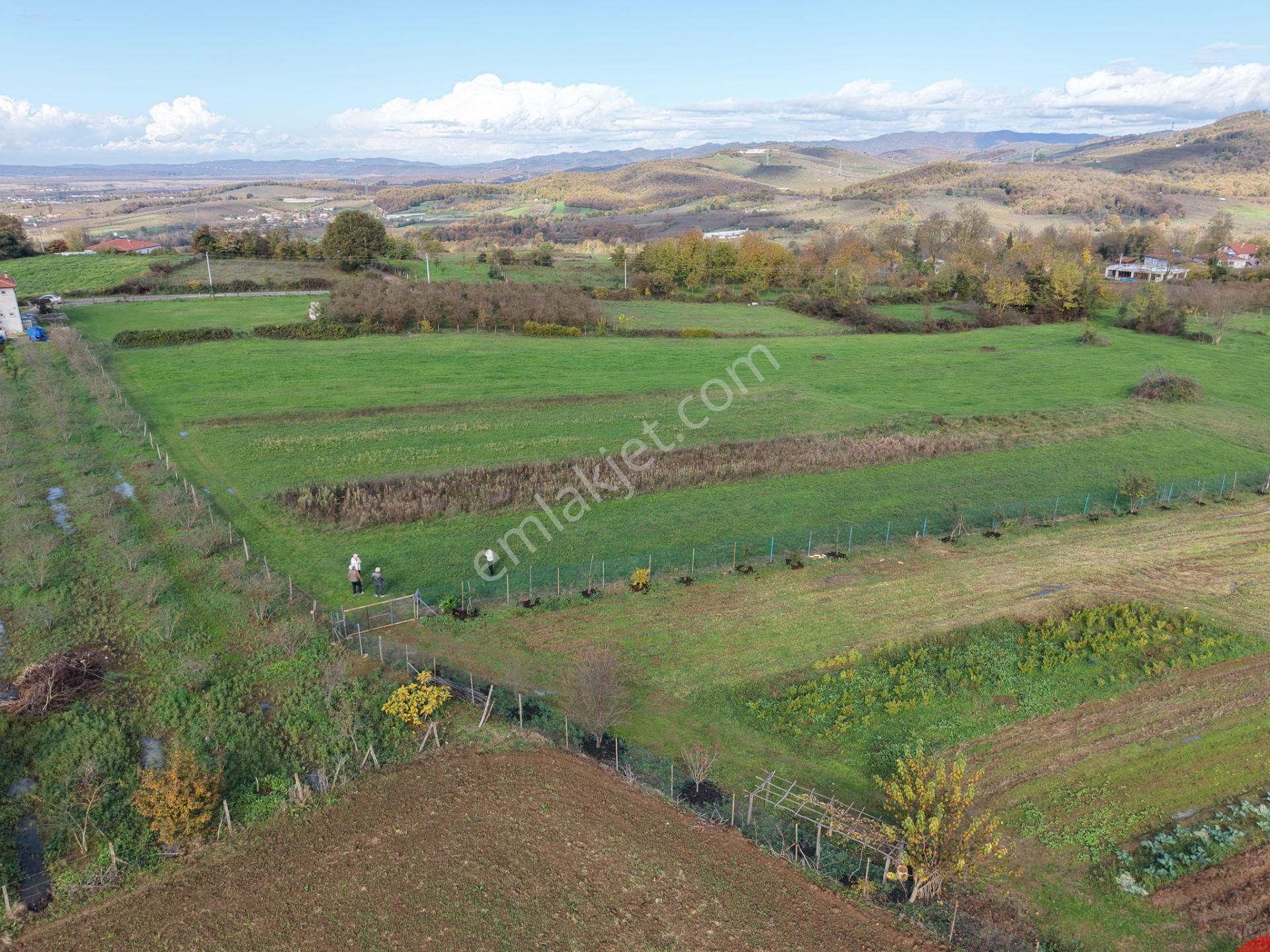 Emlakevim - Şehler Mahallesinde Satılık 980 M2 Tarla ! - Görsel 33