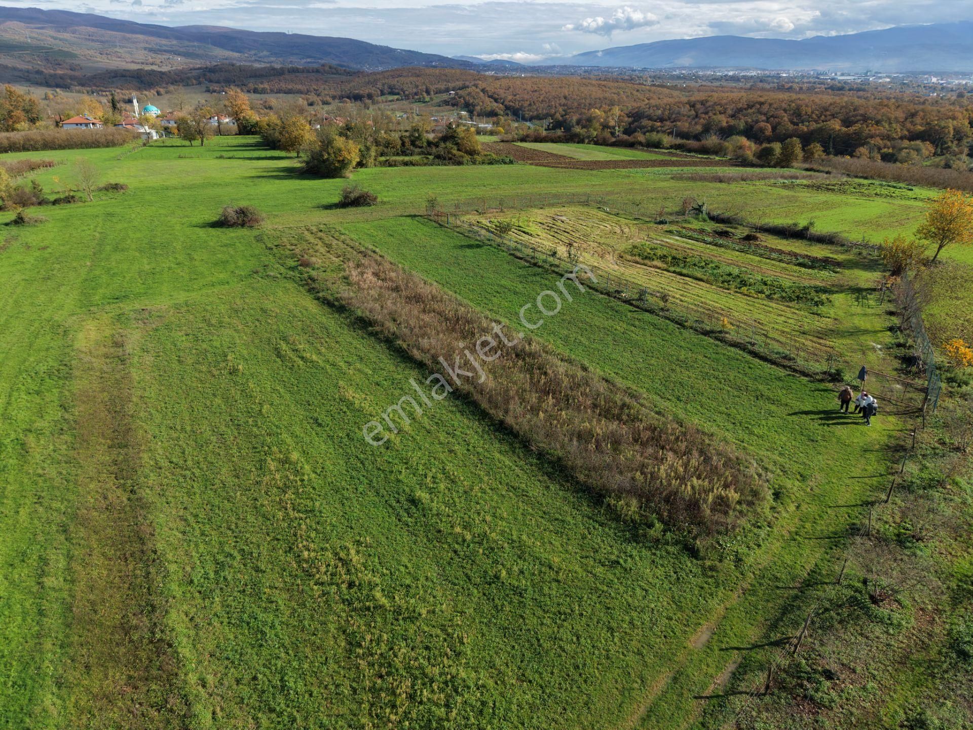 Emlakevim - Şehler Mahallesinde Satılık 980 M2 Tarla ! - Görsel 10