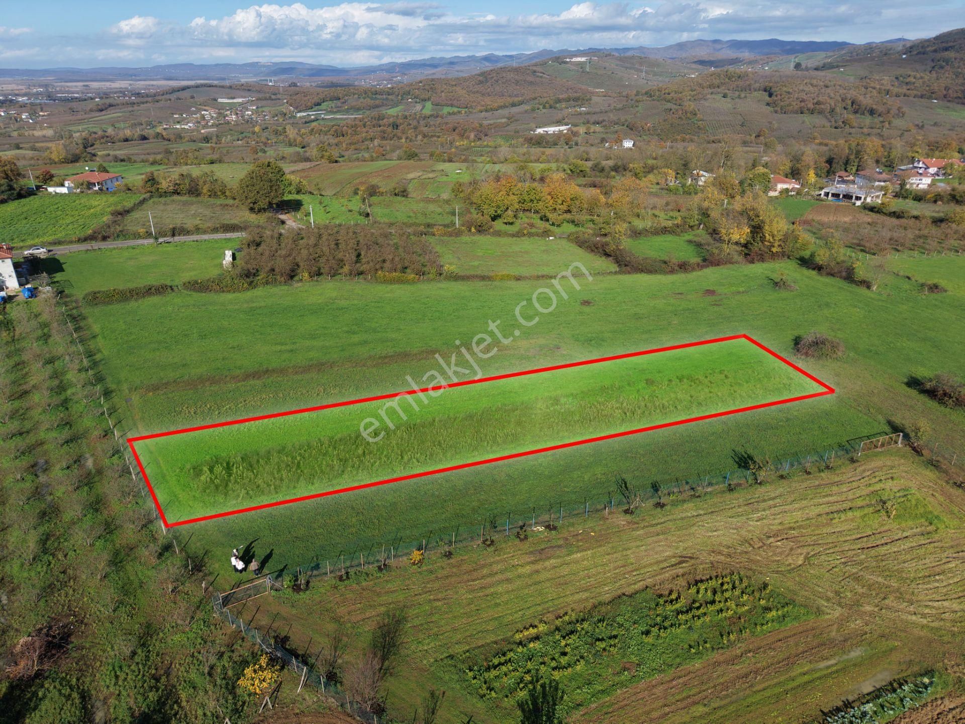 Emlakevim - Şehler Mahallesinde Satılık 980 M2 Tarla ! - Görsel 20