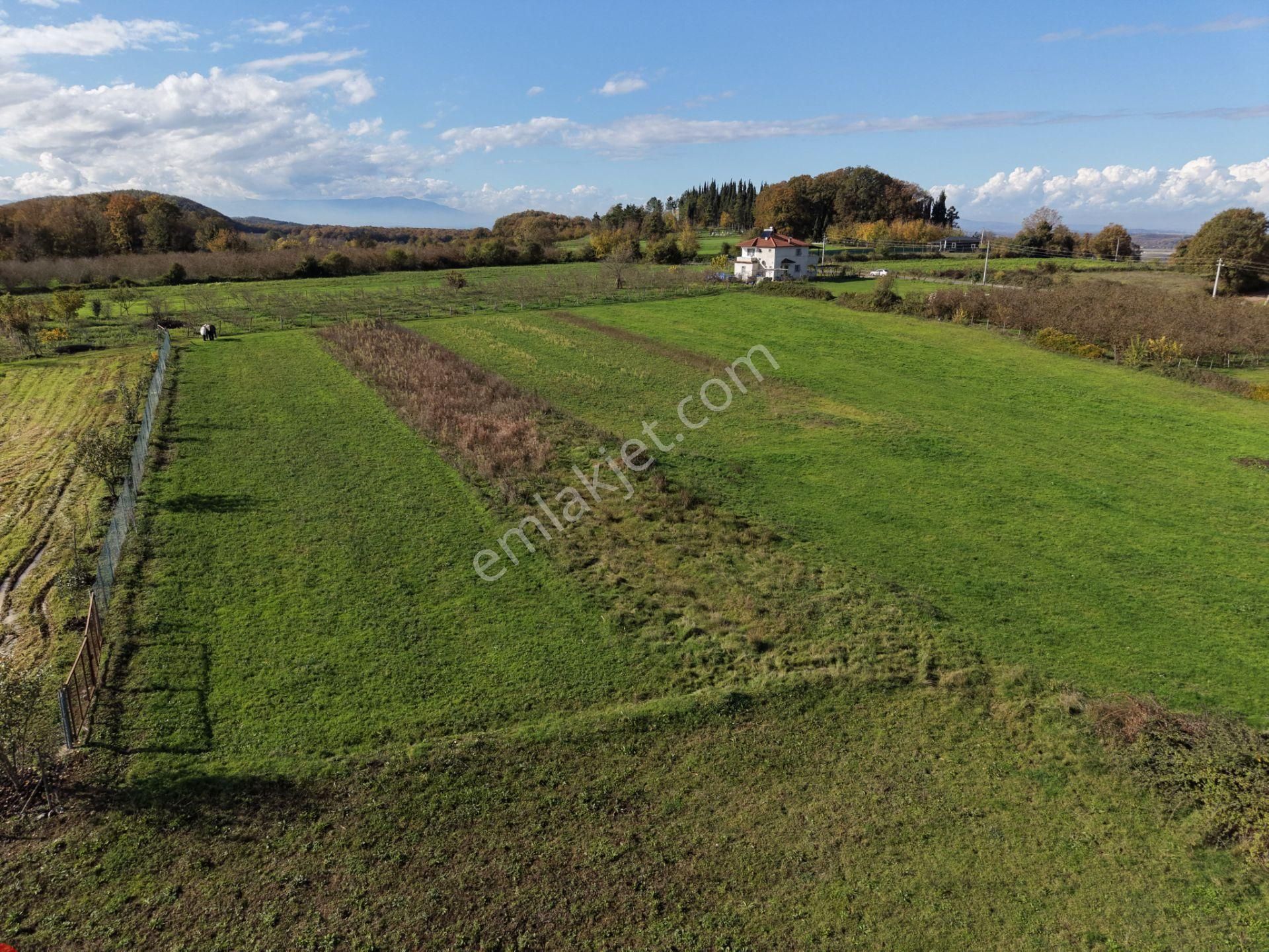 Emlakevim - Şehler Mahallesinde Satılık 980 M2 Tarla ! - Görsel 19