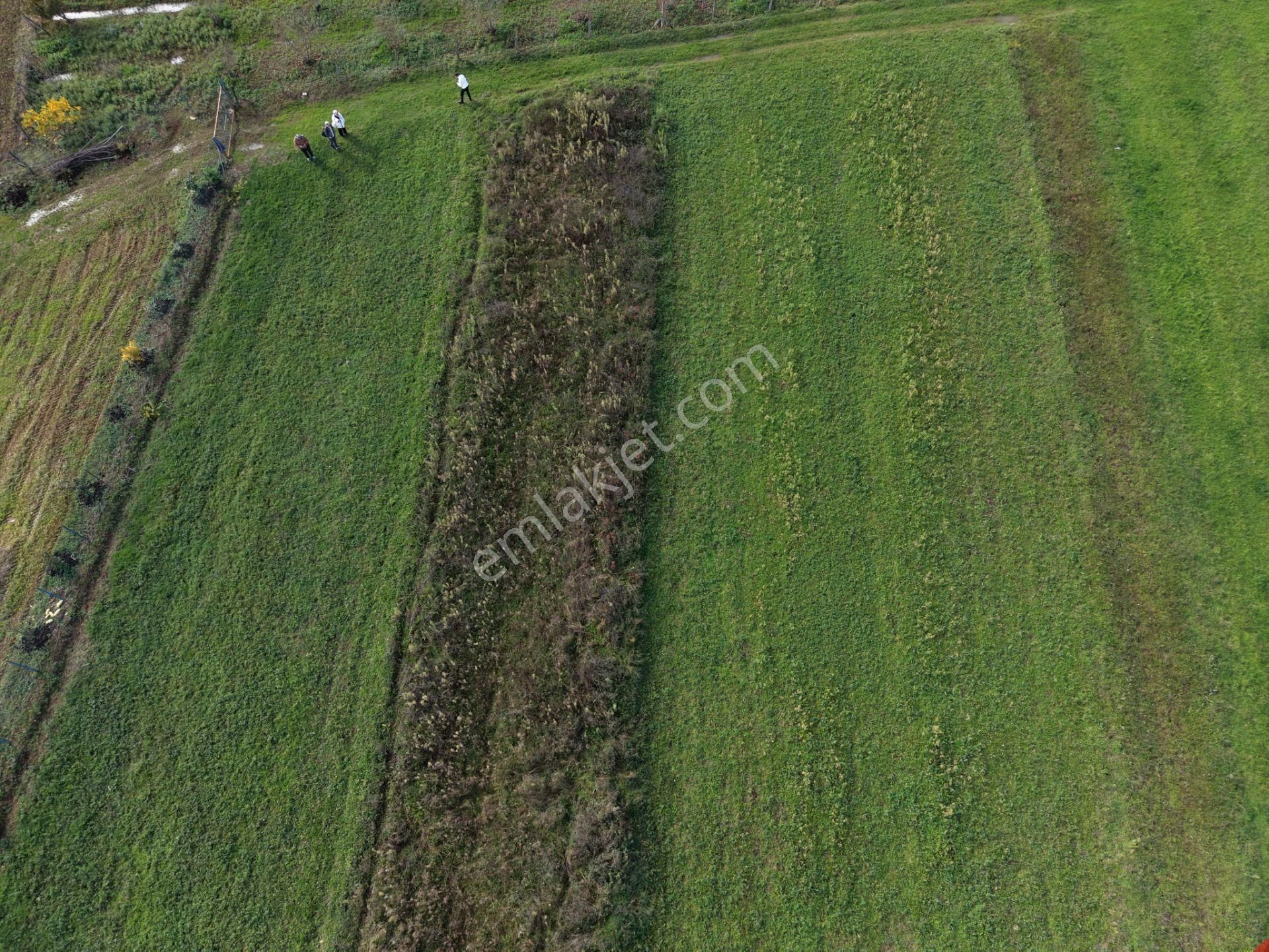 Emlakevim - Şehler Mahallesinde Satılık 980 M2 Tarla ! - Görsel 31