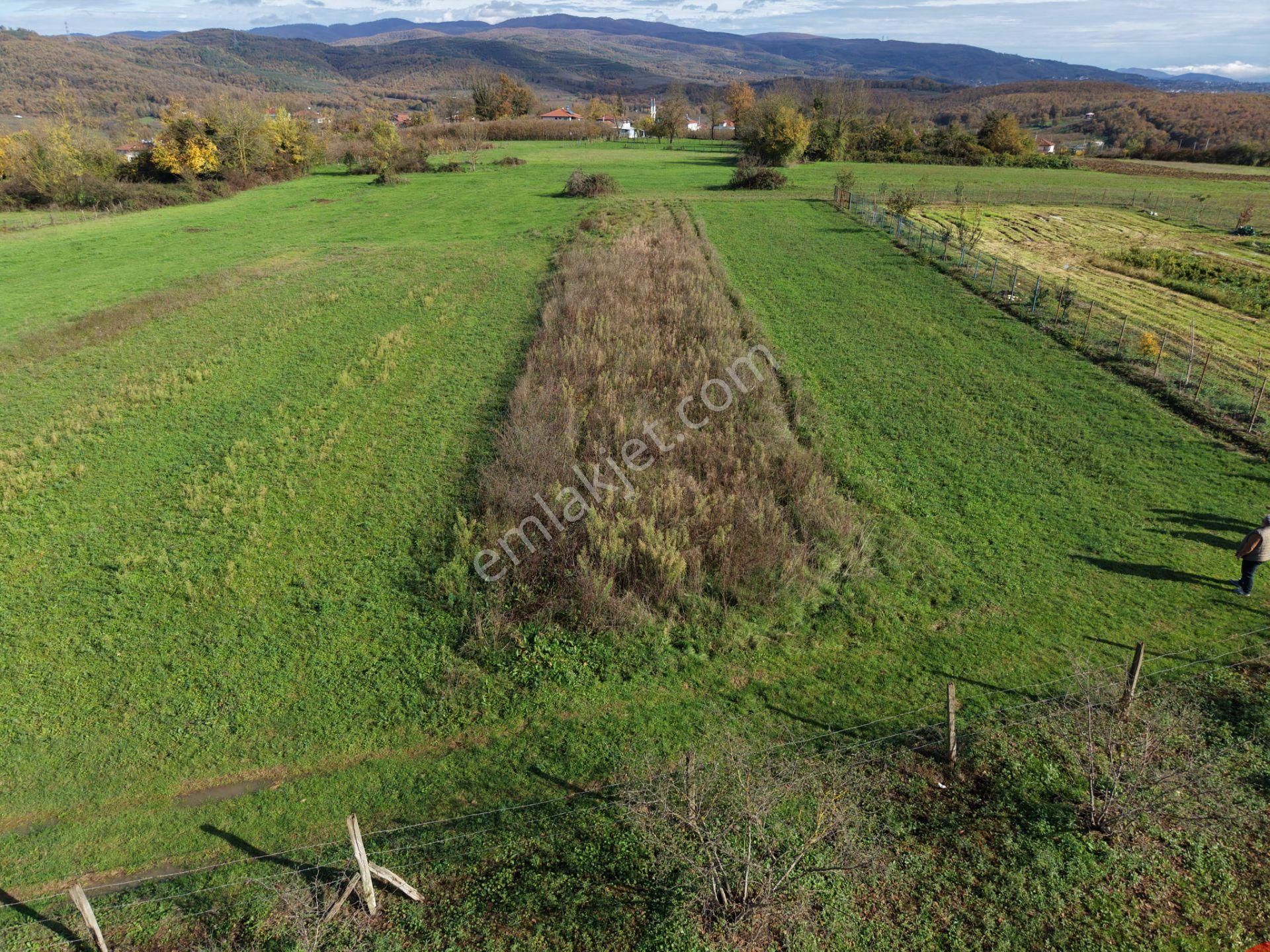 Emlakevim - Şehler Mahallesinde Satılık 980 M2 Tarla ! - Görsel 13