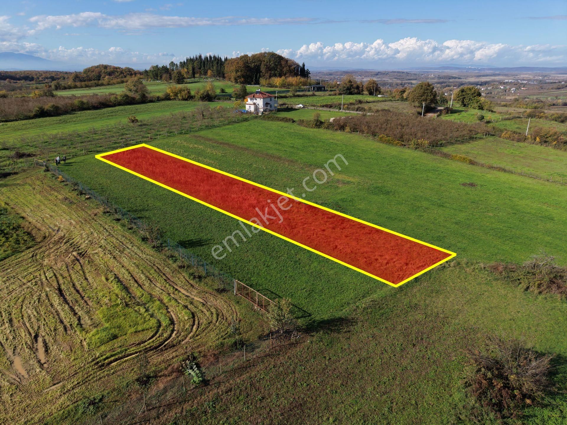 Emlakevim - Şehler Mahallesinde Satılık 980 M2 Tarla ! - Görsel 2