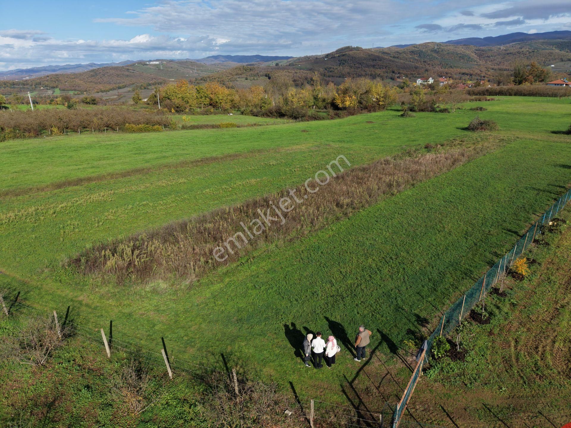 Emlakevim - Şehler Mahallesinde Satılık 980 M2 Tarla ! - Görsel 17