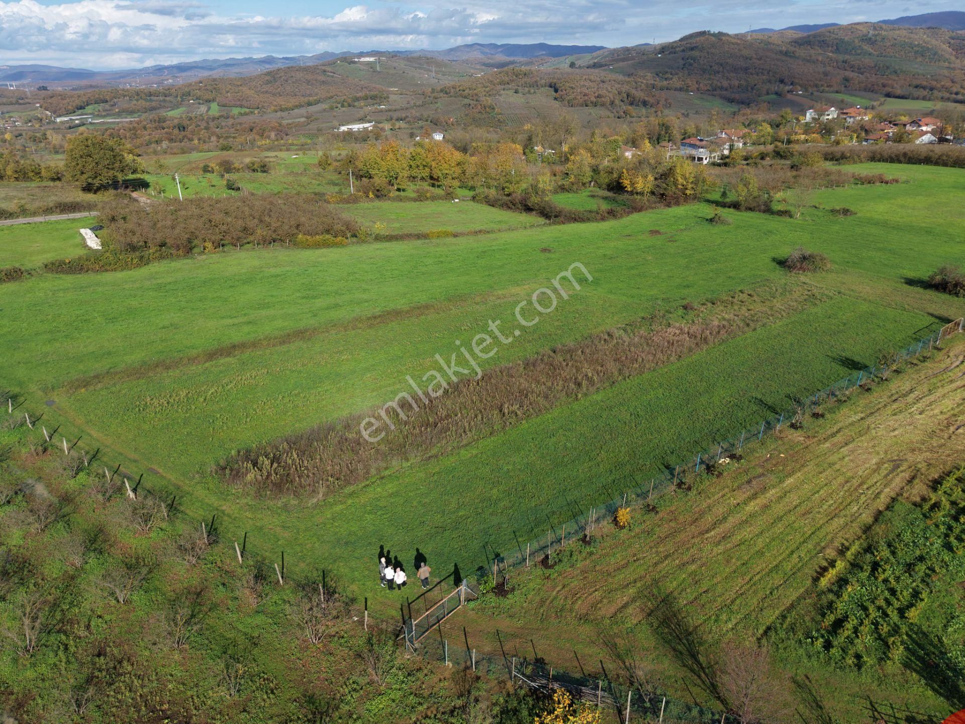 Emlakevim - Şehler Mahallesinde Satılık 980 M2 Tarla ! - Görsel 5