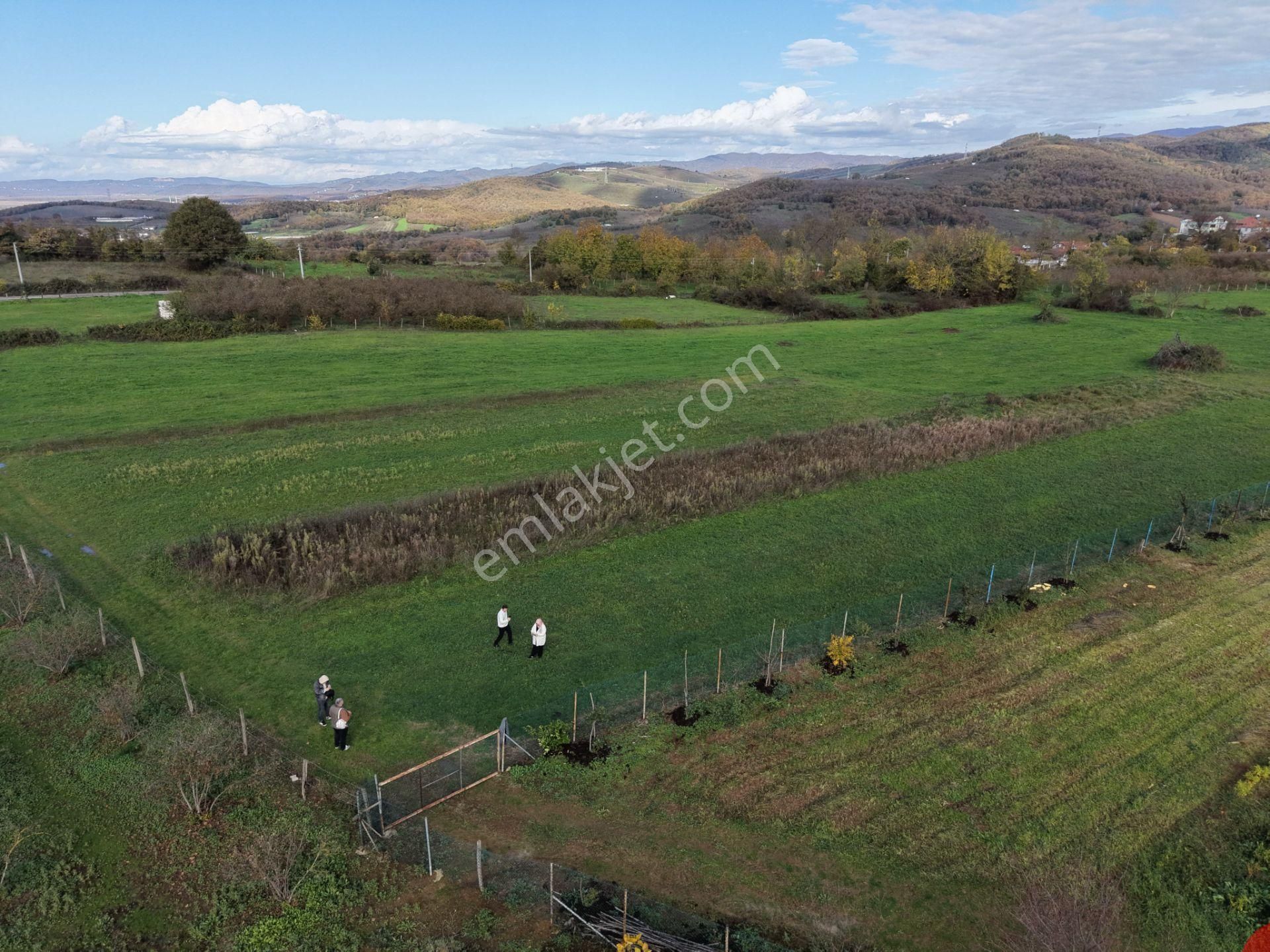 Emlakevim - Şehler Mahallesinde Satılık 980 M2 Tarla ! - Görsel 27