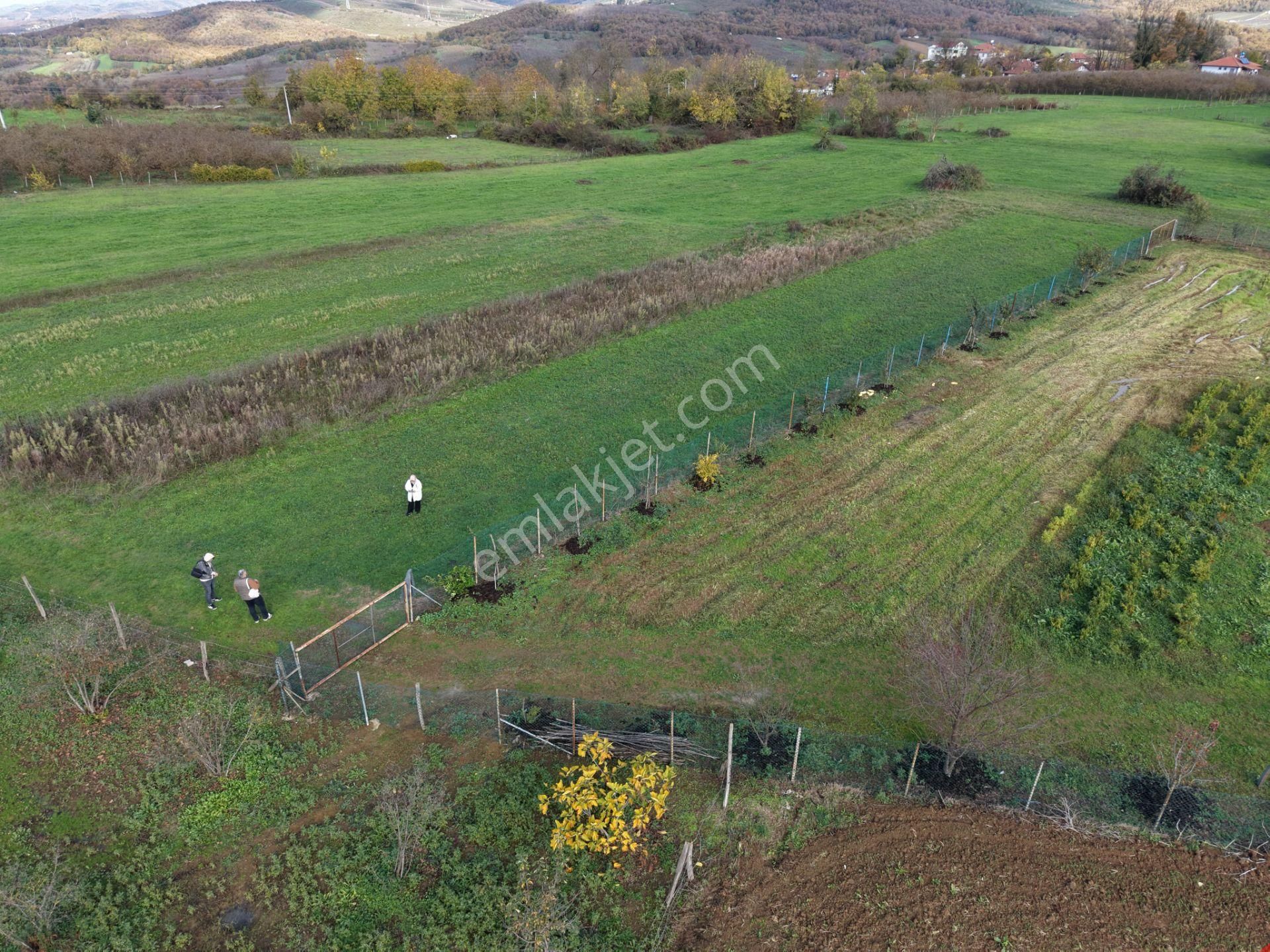 Emlakevim - Şehler Mahallesinde Satılık 980 M2 Tarla ! - Görsel 28