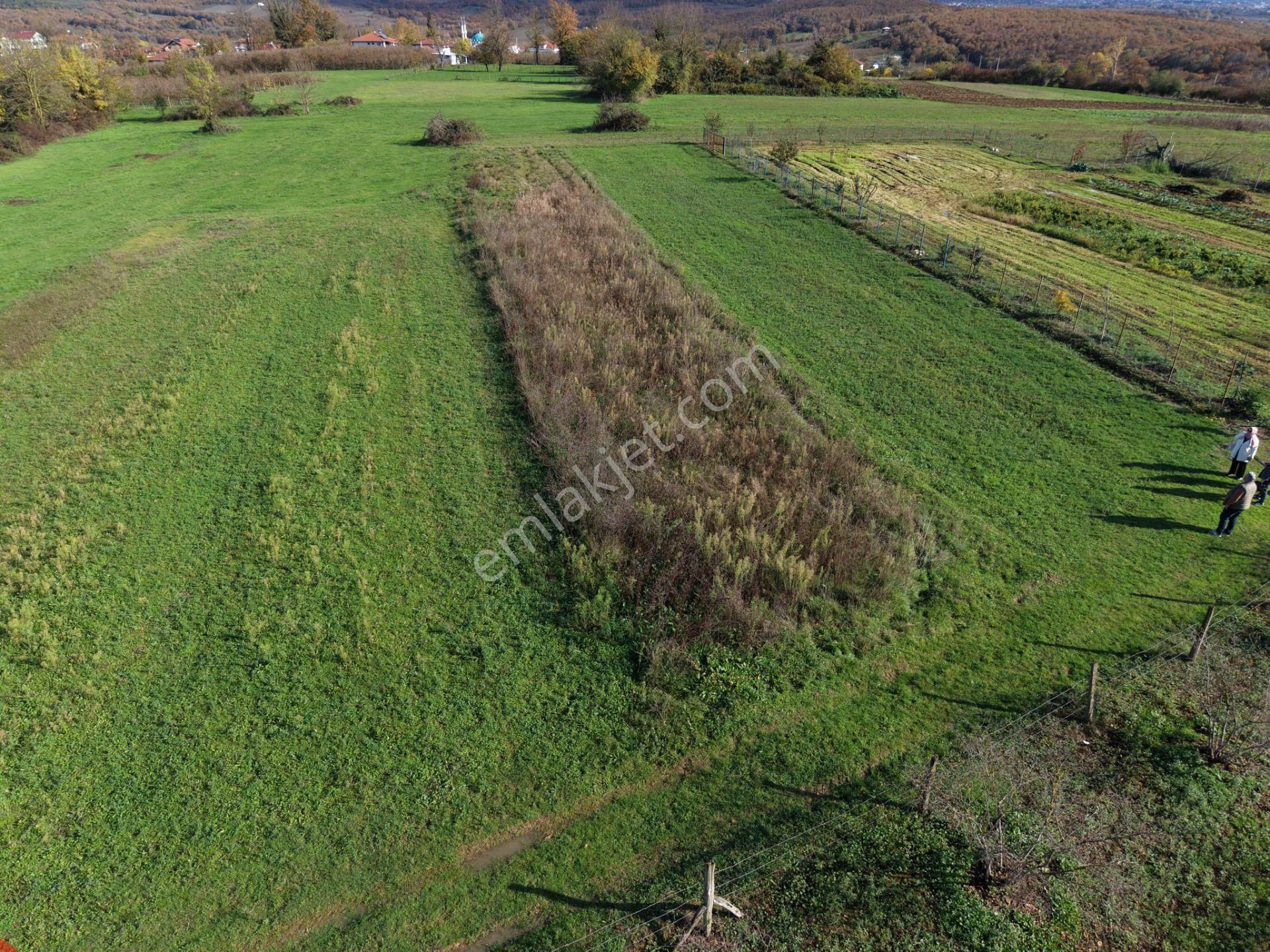 Emlakevim - Şehler Mahallesinde Satılık 980 M2 Tarla ! - Görsel 15