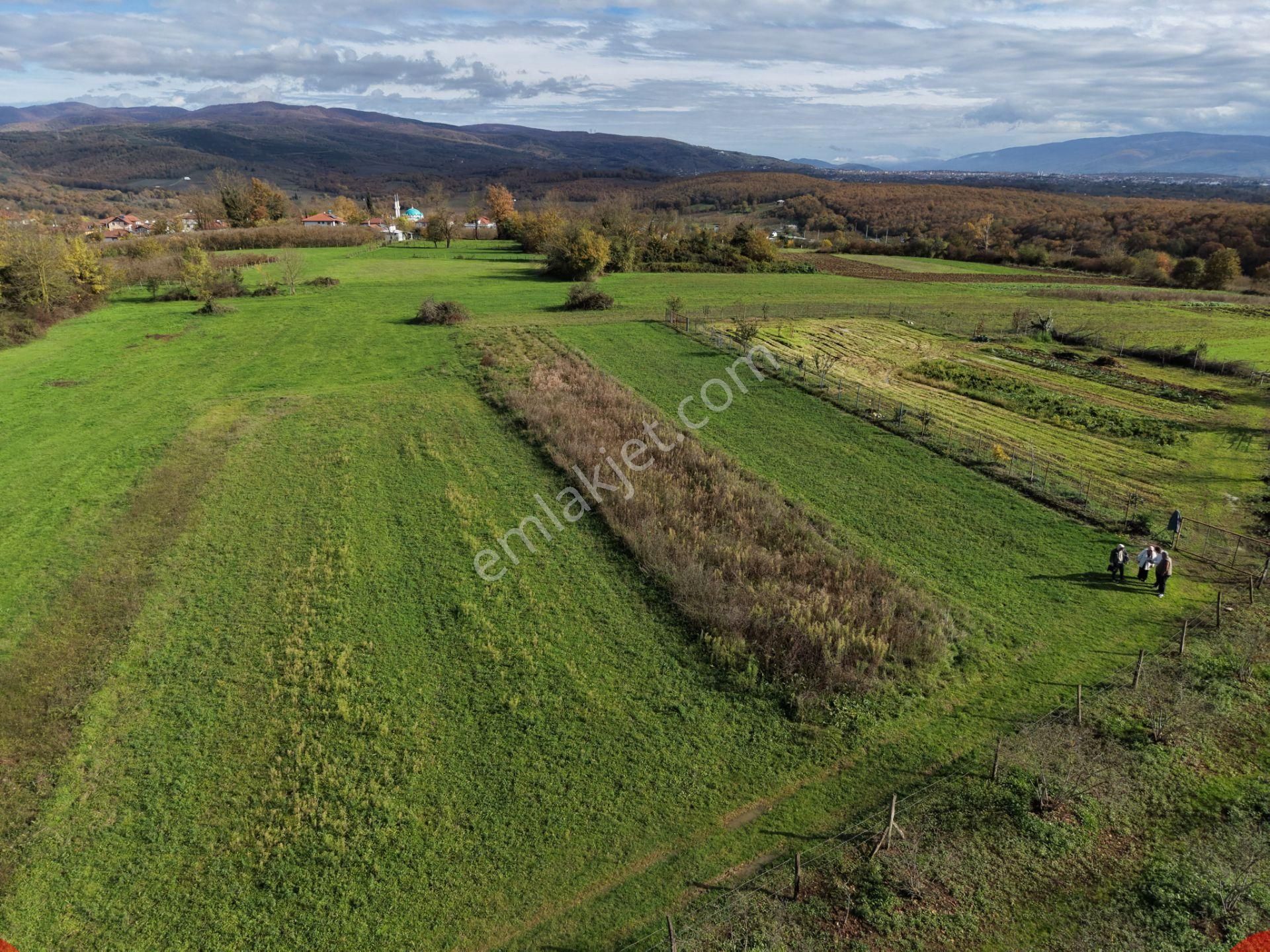 Emlakevim - Şehler Mahallesinde Satılık 980 M2 Tarla ! - Görsel 12