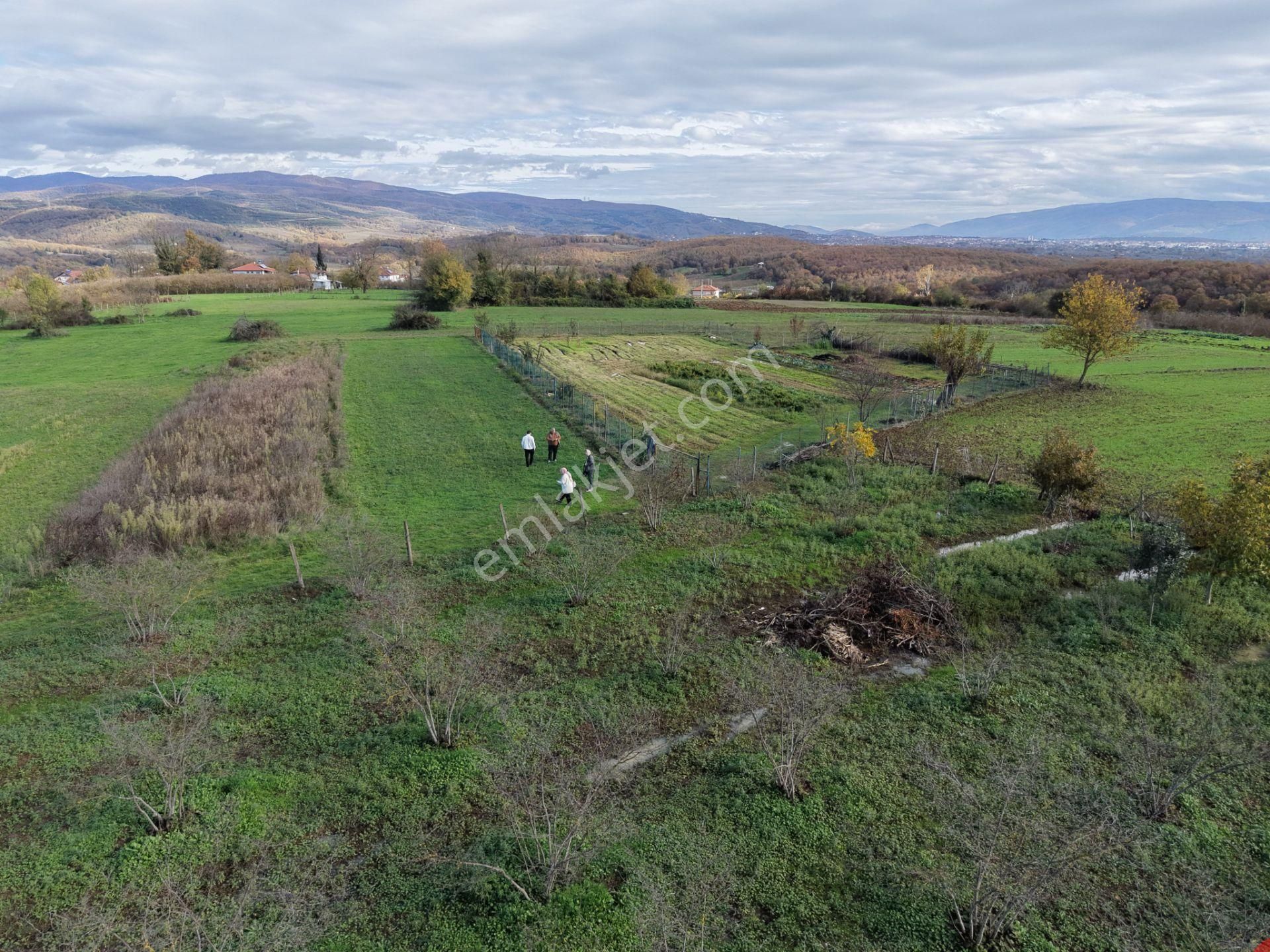 Emlakevim - Şehler Mahallesinde Satılık 980 M2 Tarla ! - Görsel 32