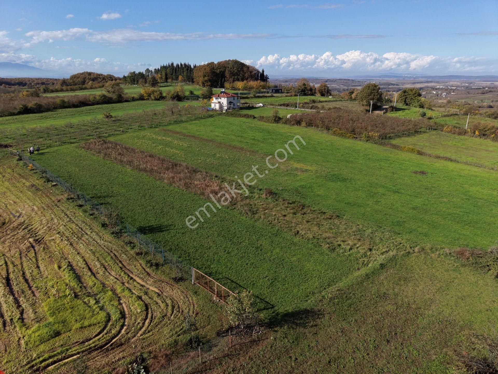 Emlakevim - Şehler Mahallesinde Satılık 980 M2 Tarla ! - Görsel 8