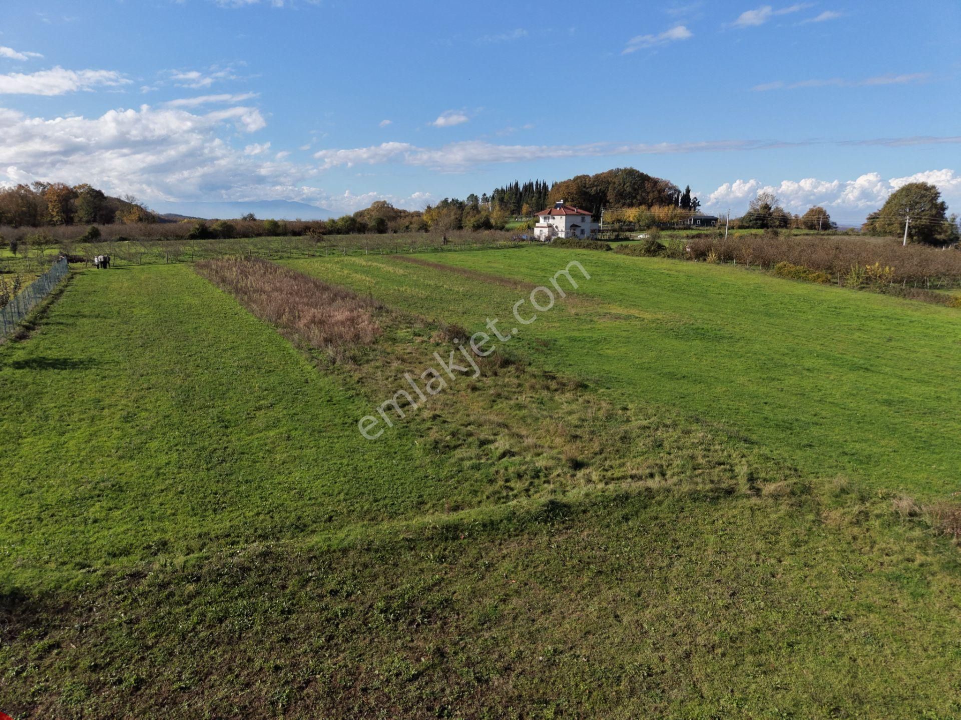 Emlakevim - Şehler Mahallesinde Satılık 980 M2 Tarla ! - Görsel 22