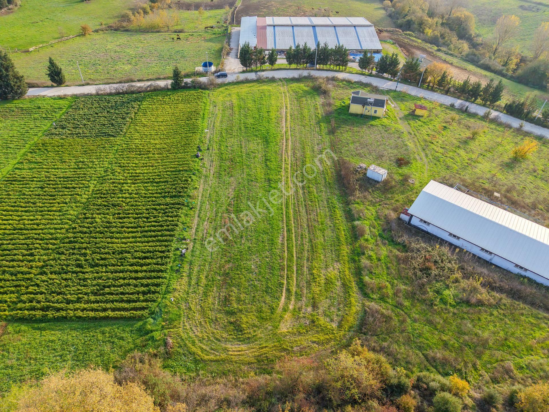 Kocaeli Karamürsel'de 3.327m² Satılık Arsa&yola 31 Metre Cepheli - Görsel 30