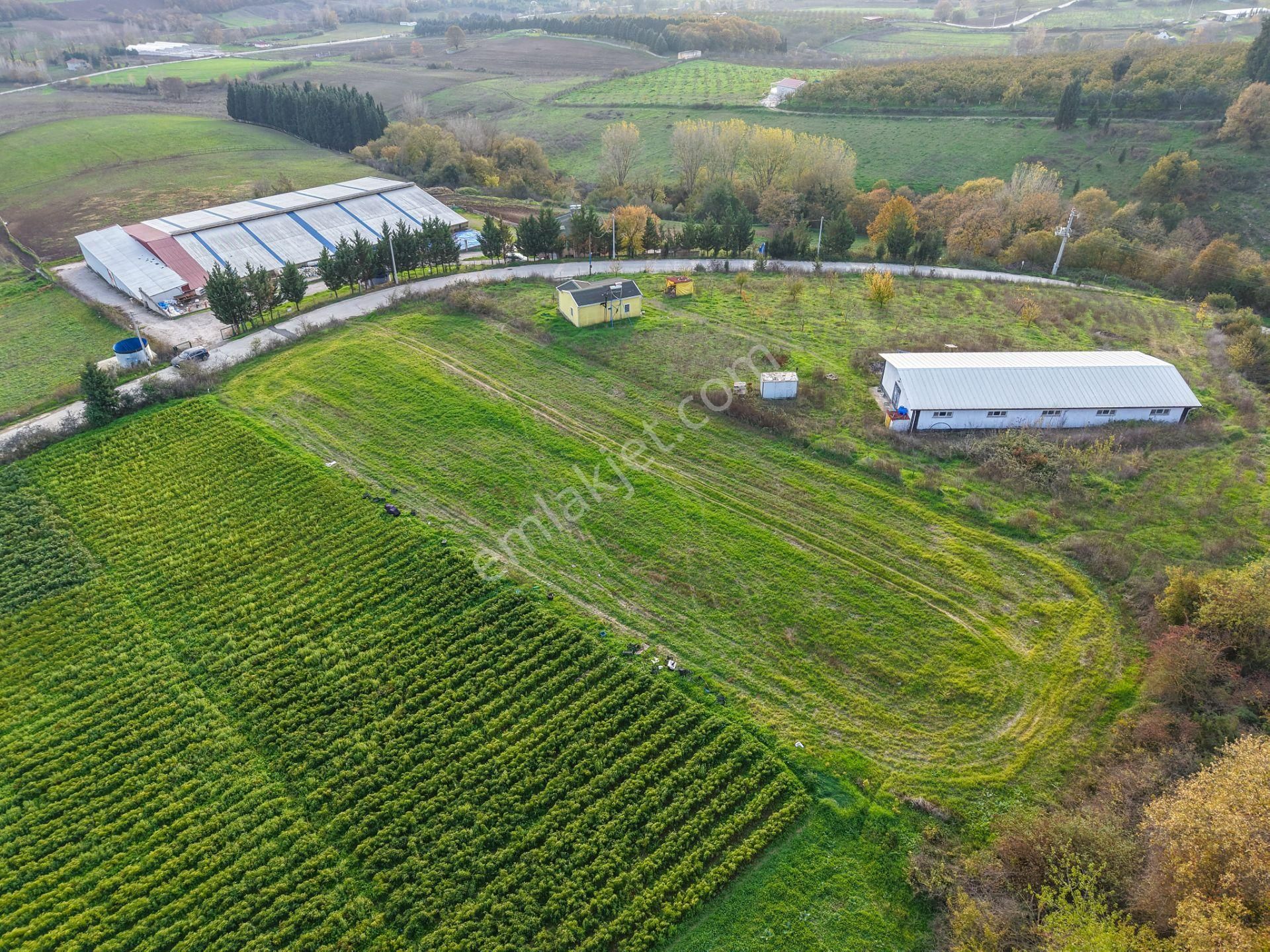 Kocaeli Karamürsel'de 3.327m² Satılık Arsa&yola 31 Metre Cepheli - Görsel 7