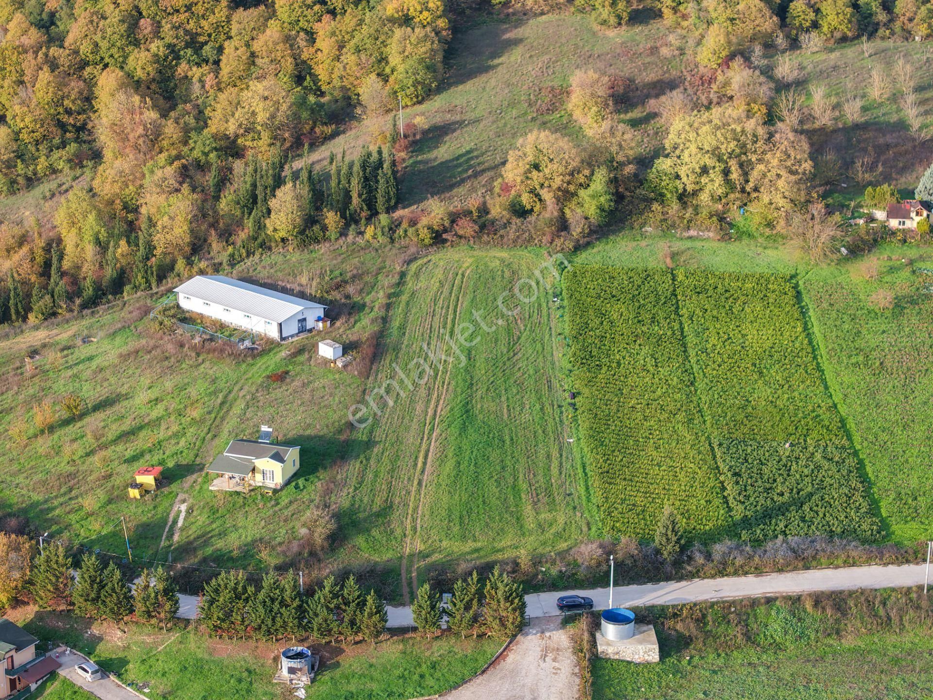 Kocaeli Karamürsel'de 3.327m² Satılık Arsa&yola 31 Metre Cepheli - Görsel 15