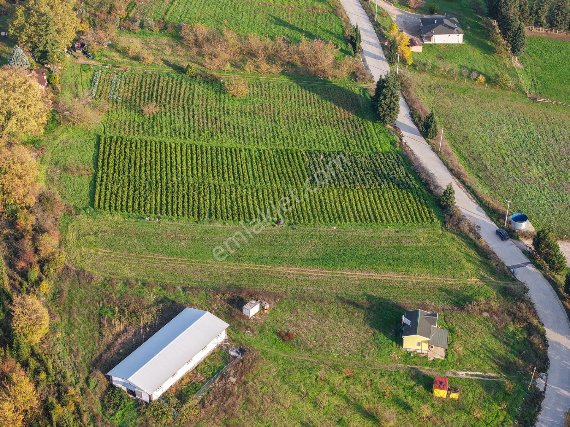 Kocaeli Karamürsel'de 3.327m² Satılık Arsa&yola 31 Metre Cepheli - Görsel 28