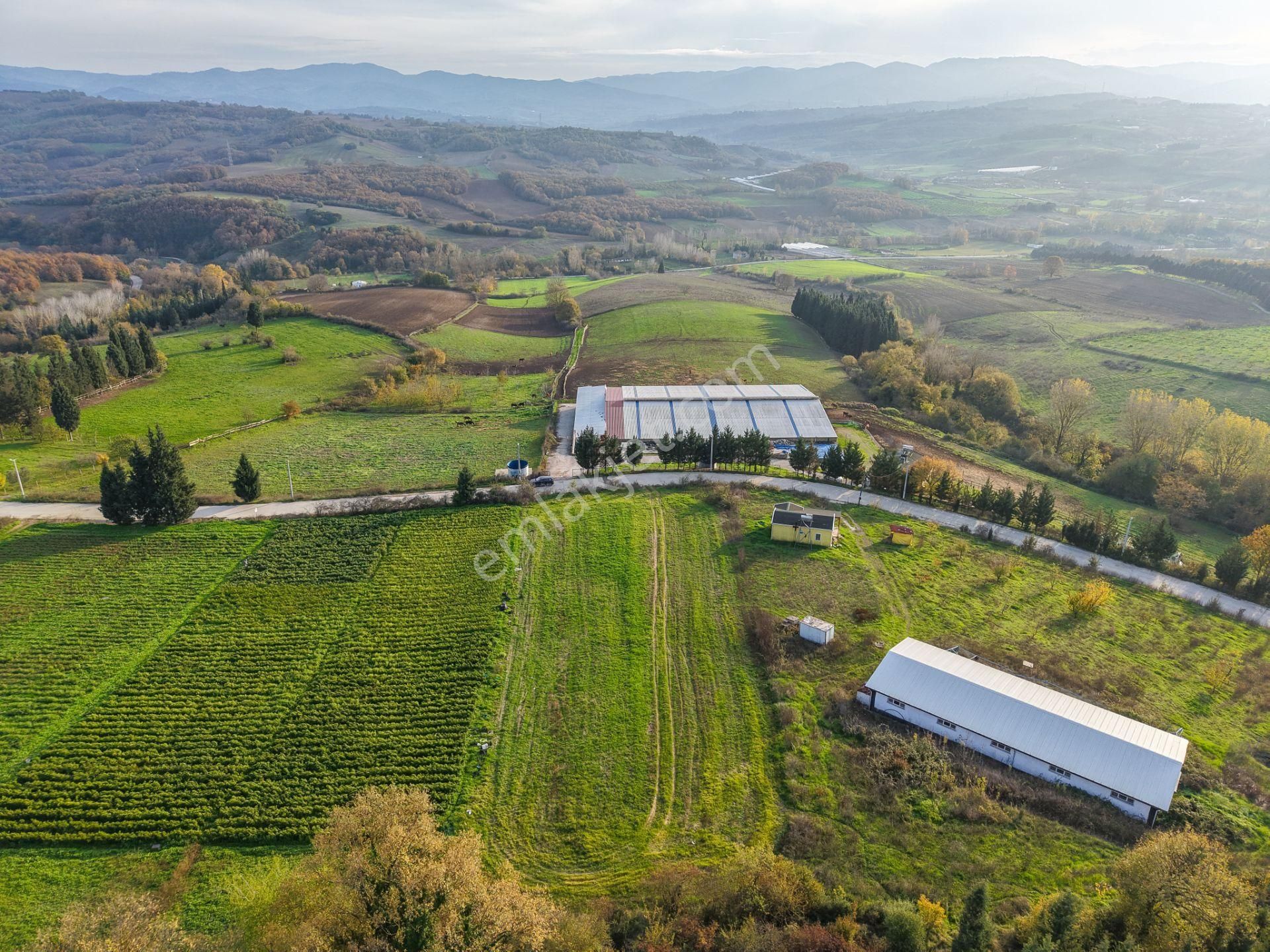 Kocaeli Karamürsel'de 3.327m² Satılık Arsa&yola 31 Metre Cepheli - Görsel 23