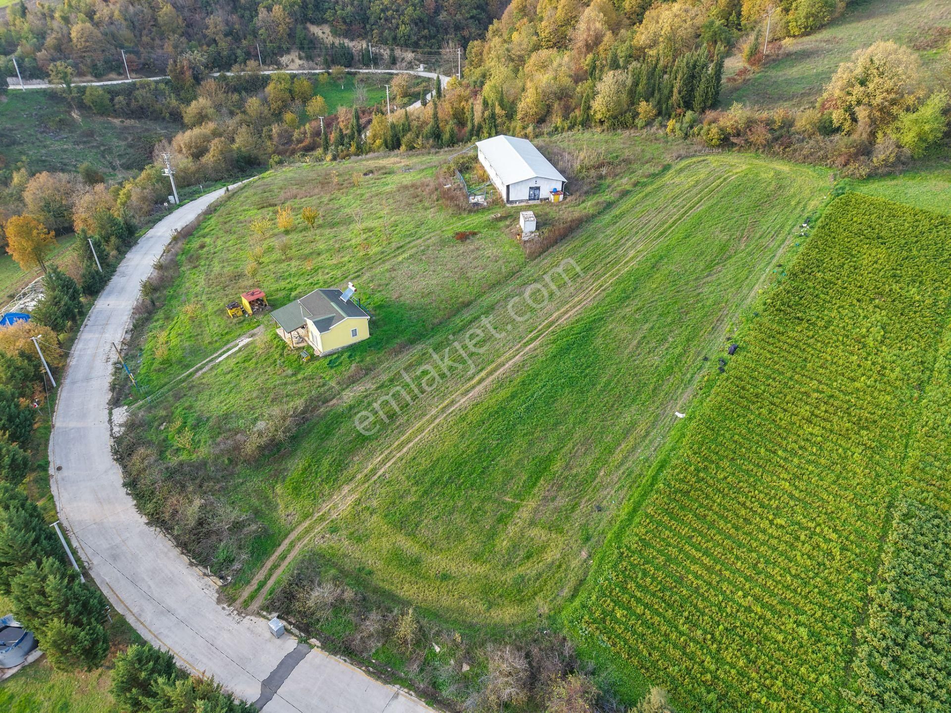 Kocaeli Karamürsel'de 3.327m² Satılık Arsa&yola 31 Metre Cepheli - Görsel 4