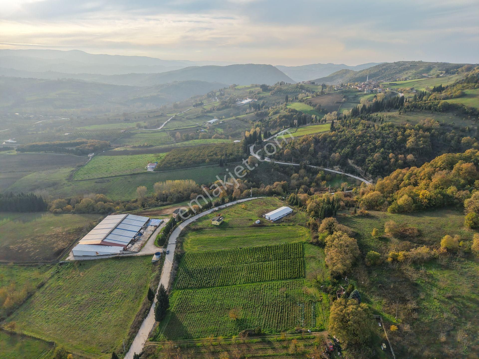 Kocaeli Karamürsel'de 3.327m² Satılık Arsa&yola 31 Metre Cepheli - Görsel 12