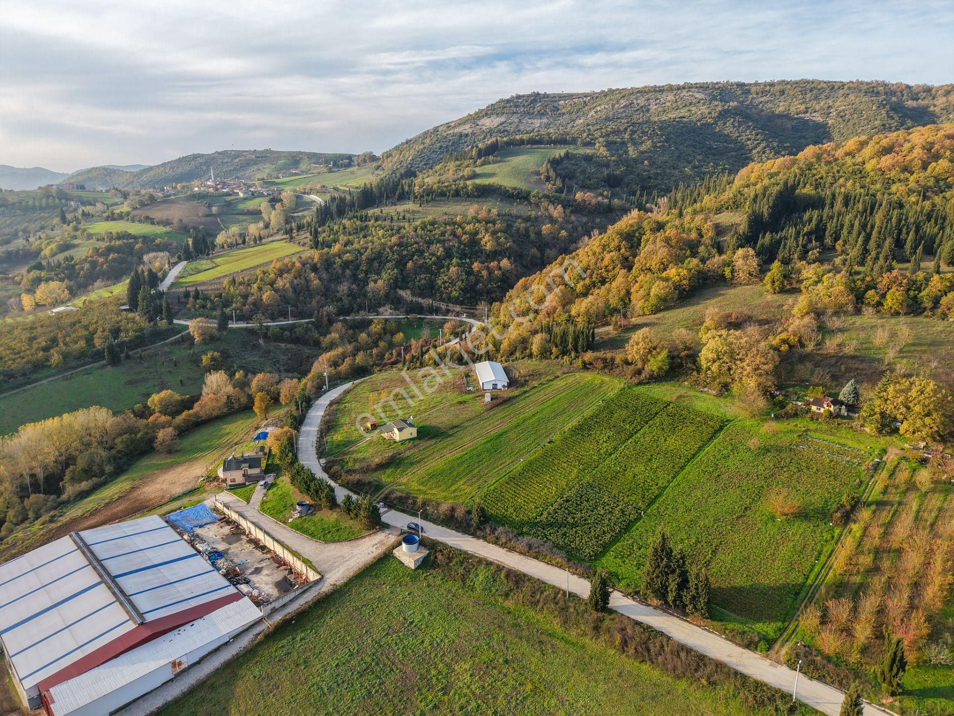 Kocaeli Karamürsel'de 3.327m² Satılık Arsa&yola 31 Metre Cepheli - Görsel 14