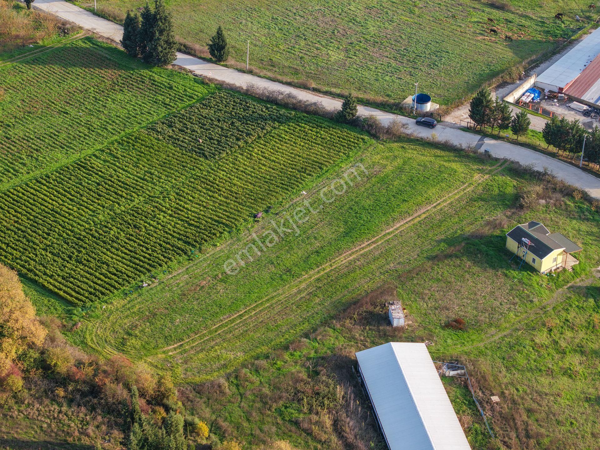 Kocaeli Karamürsel'de 3.327m² Satılık Arsa&yola 31 Metre Cepheli - Görsel 20