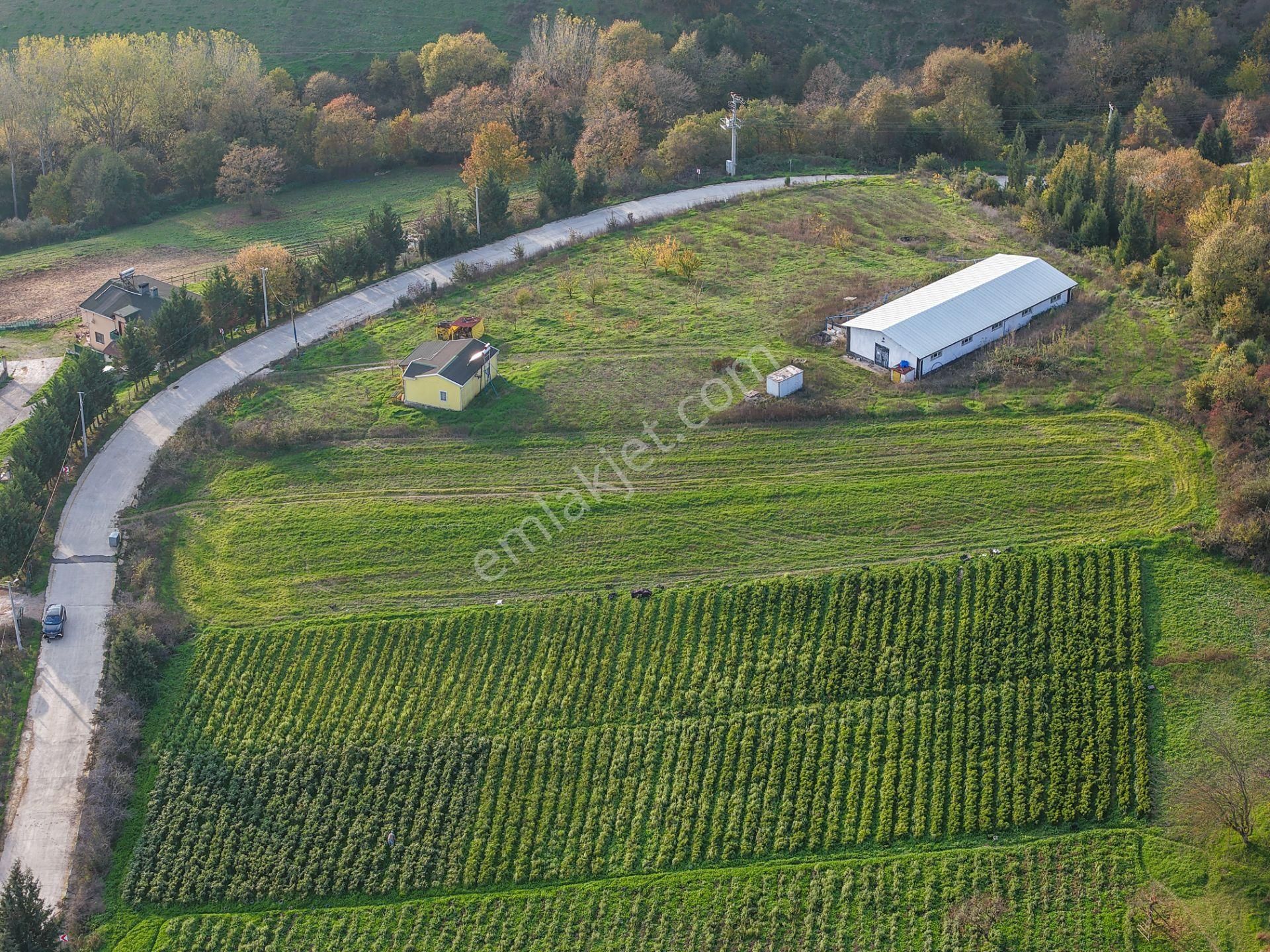 Kocaeli Karamürsel'de 3.327m² Satılık Arsa&yola 31 Metre Cepheli - Görsel 13