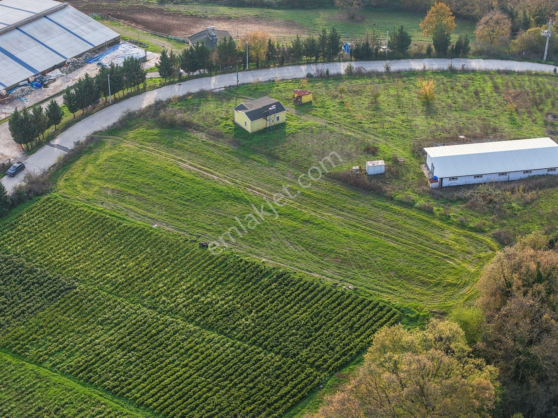 Kocaeli Karamürsel'de 3.327m² Satılık Arsa&yola 31 Metre Cepheli - Görsel 6