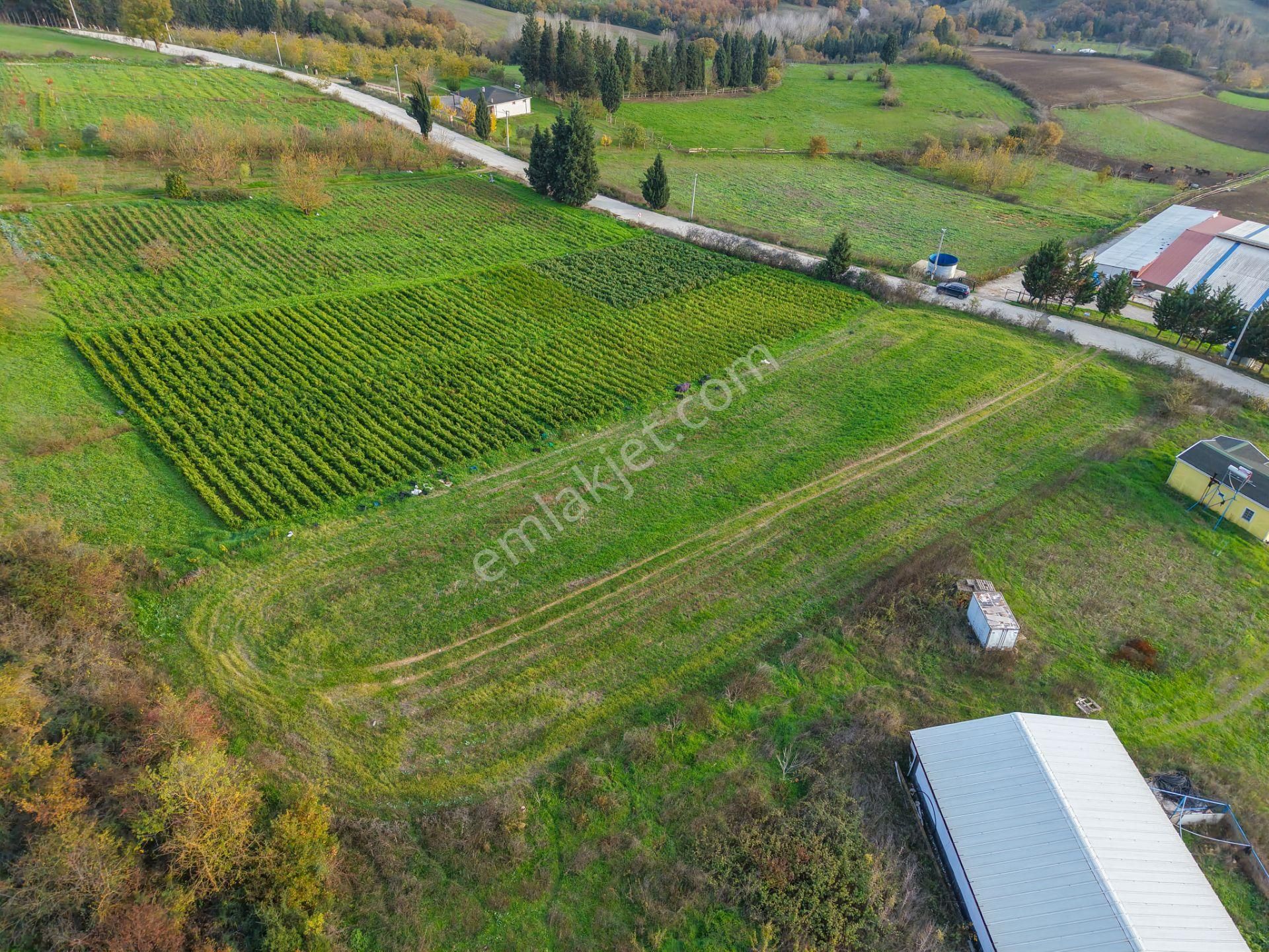 Kocaeli Karamürsel'de 3.327m² Satılık Arsa&yola 31 Metre Cepheli - Görsel 3