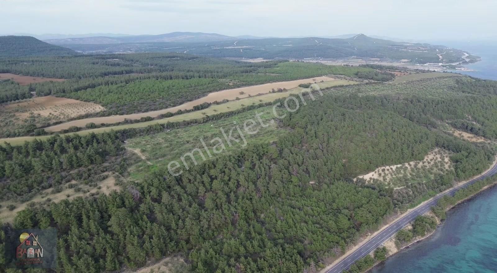 Bogazı Ve Çanakkale Yi İzleyebileceginiz 42 Dönüm Arazi - Görsel 7