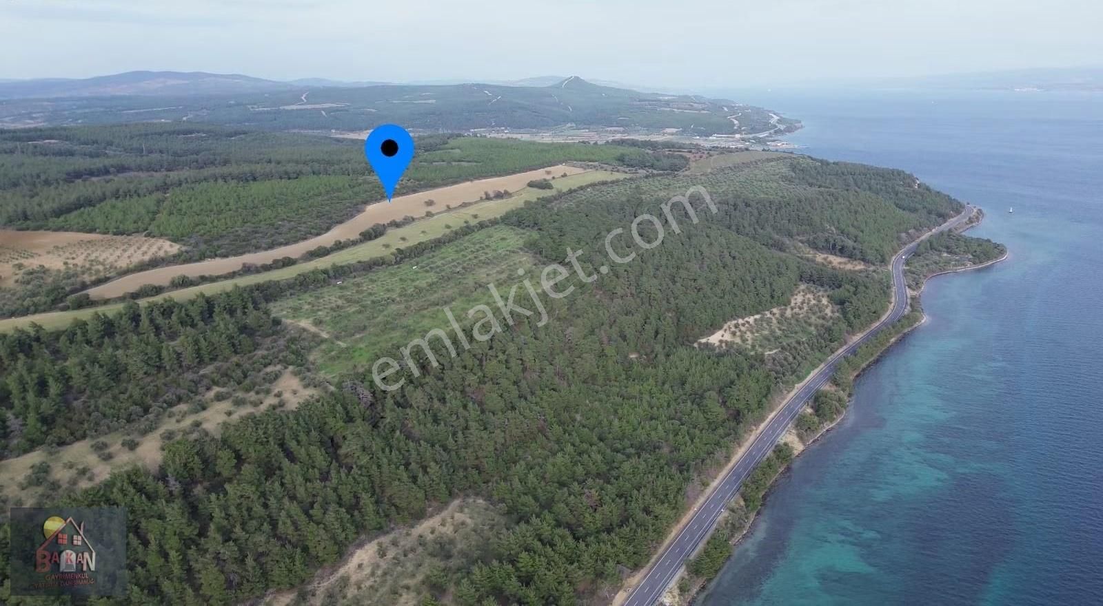 Bogazı Ve Çanakkale Yi İzleyebileceginiz 42 Dönüm Arazi - Görsel 4
