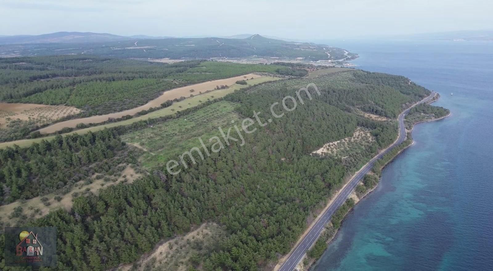 Bogazı Ve Çanakkale Yi İzleyebileceginiz 42 Dönüm Arazi - Görsel 6