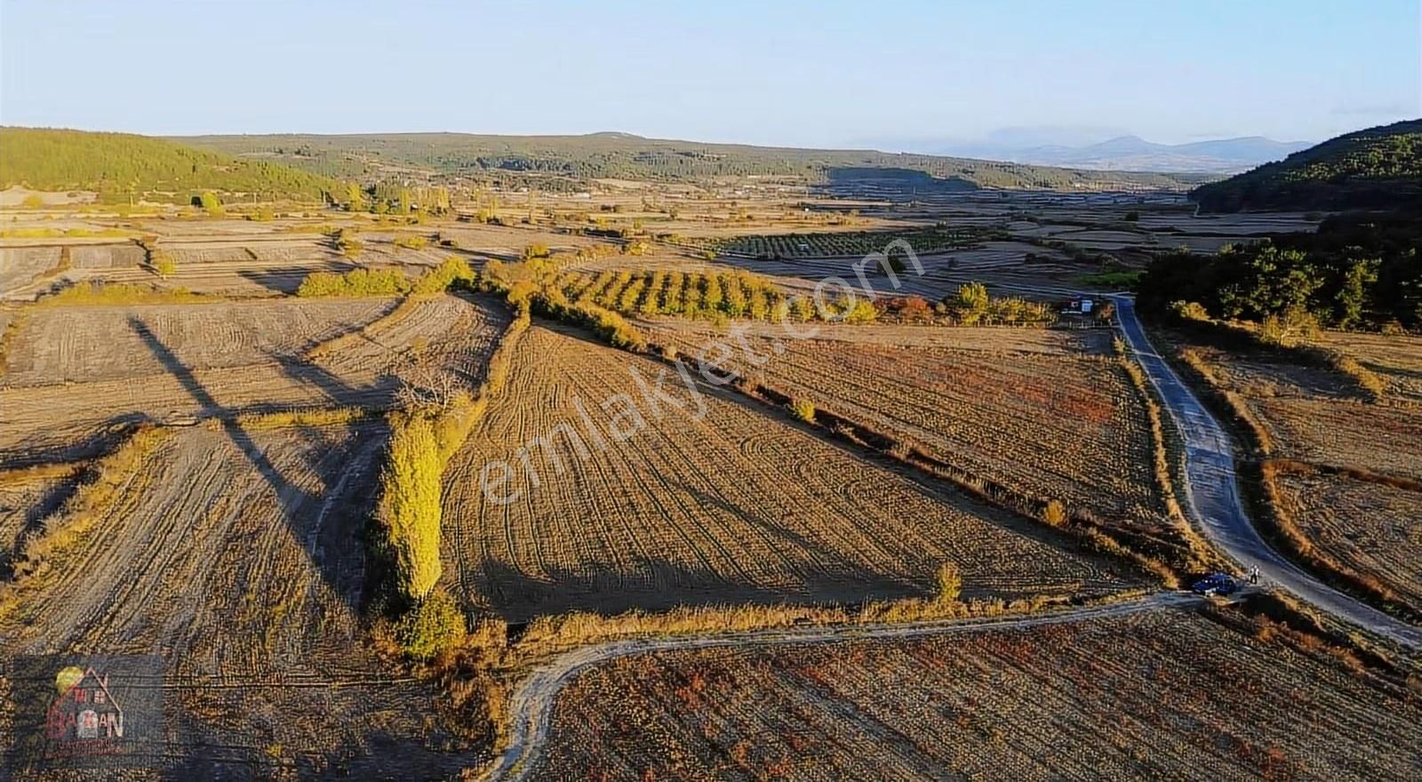 Köy E Yakın Yol U Suyu Olan 8 Dönüm Verimli Arazi - Görsel 10