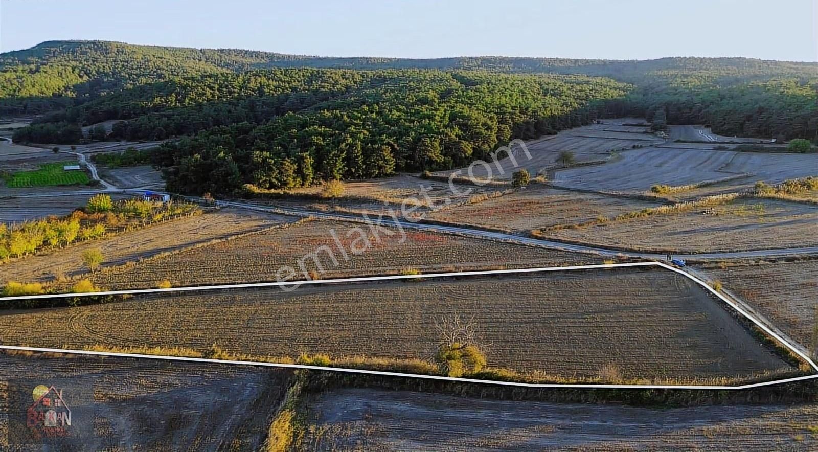 Köy E Yakın Yol U Suyu Olan 8 Dönüm Verimli Arazi - Görsel 11