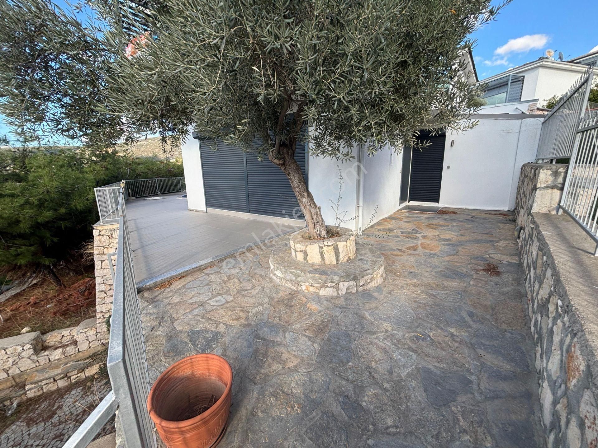 Didim Akbükte Müstakil Havuzlu Ful Deniz Manzaralı Satılık Villa - Görsel 4