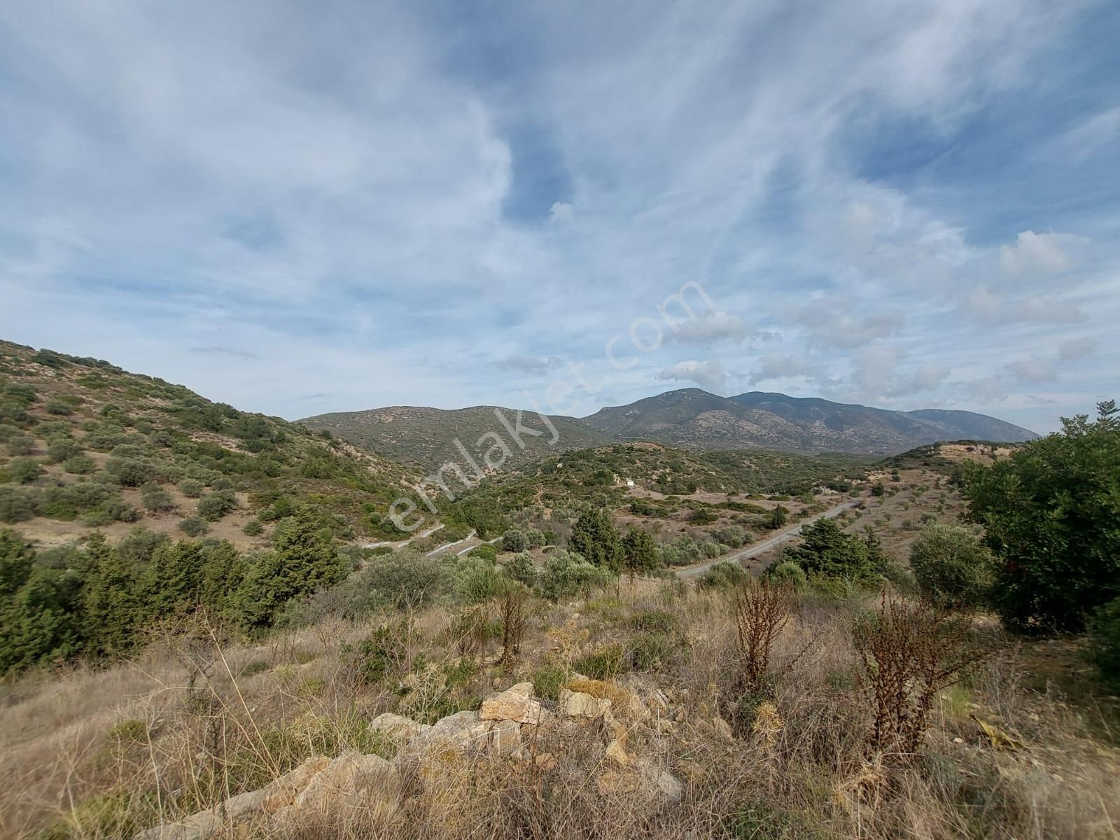 Muğla Datça Yazı’da 8.400 M² Müstakil Tapulu Satılık Kelepir Zeytinlik - Görsel 5