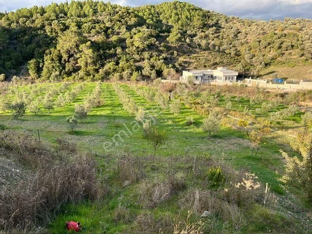 019 Köy Merkezine Yakın İçinde Evi Olan Arazi - Görsel 3