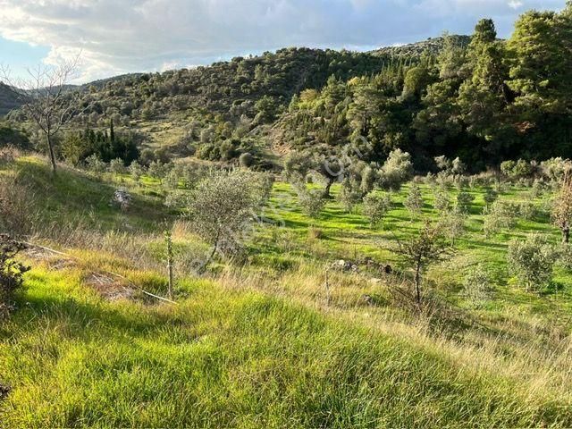 019 Köy Merkezine Yakın İçinde Evi Olan Arazi