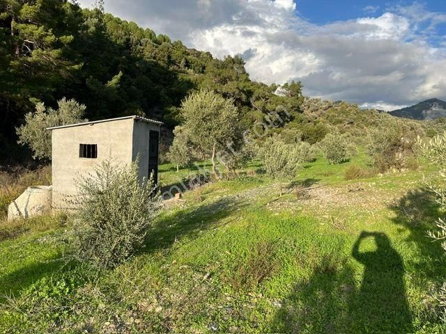 019 Köy Merkezine Yakın İçinde Evi Olan Arazi - Görsel 17