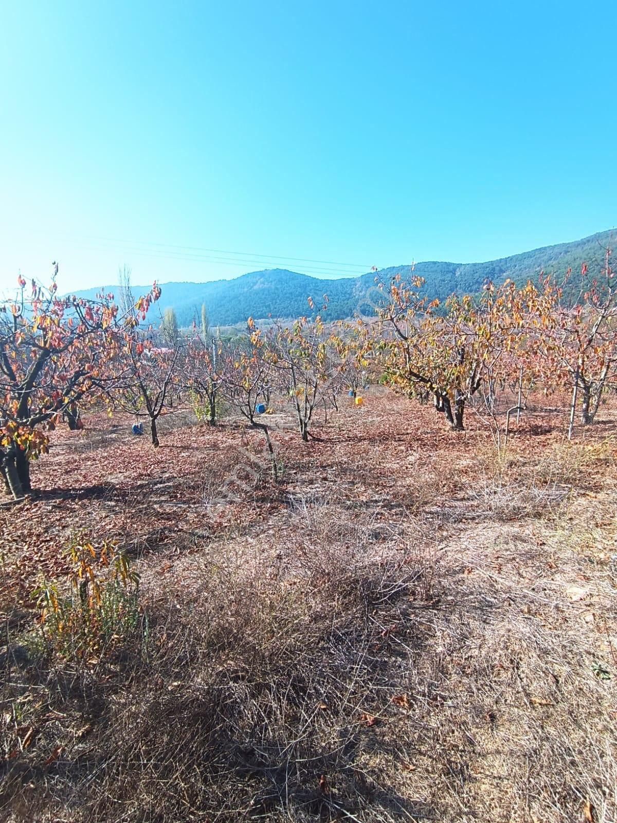 İzmir Bayındır Alankıyıda Muhteşem Konumda İmarlı Satılık Bahçe - Görsel 10