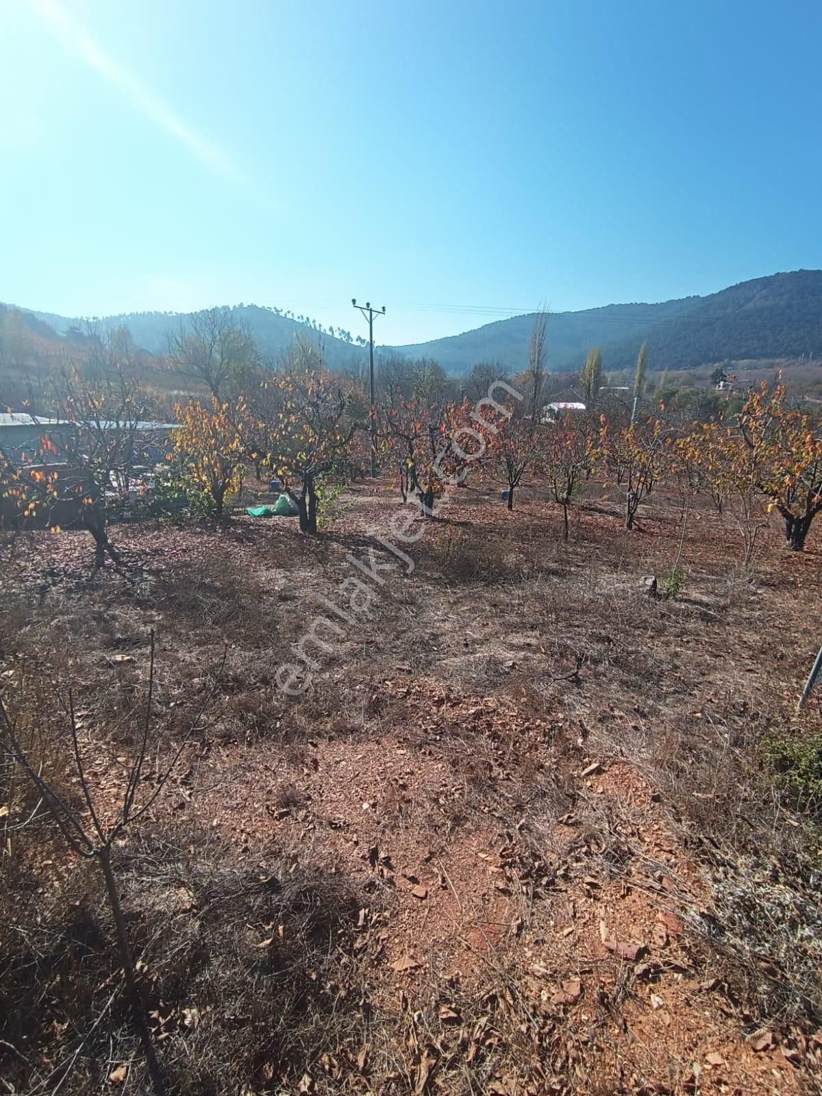 İzmir Bayındır Alankıyıda Muhteşem Konumda İmarlı Satılık Bahçe - Görsel 8