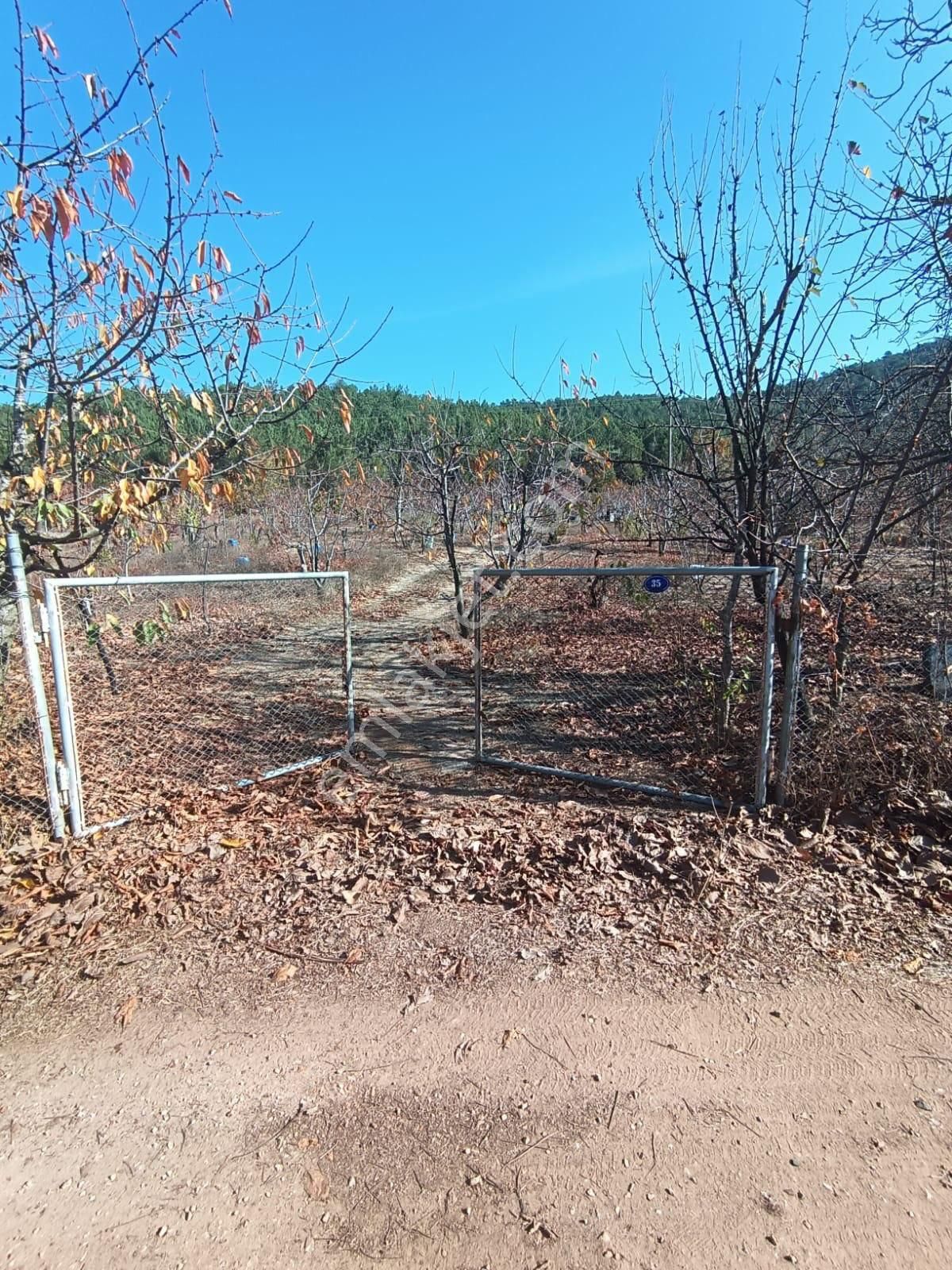 İzmir Bayındır Alankıyıda Muhteşem Konumda İmarlı Satılık Bahçe - Görsel 19