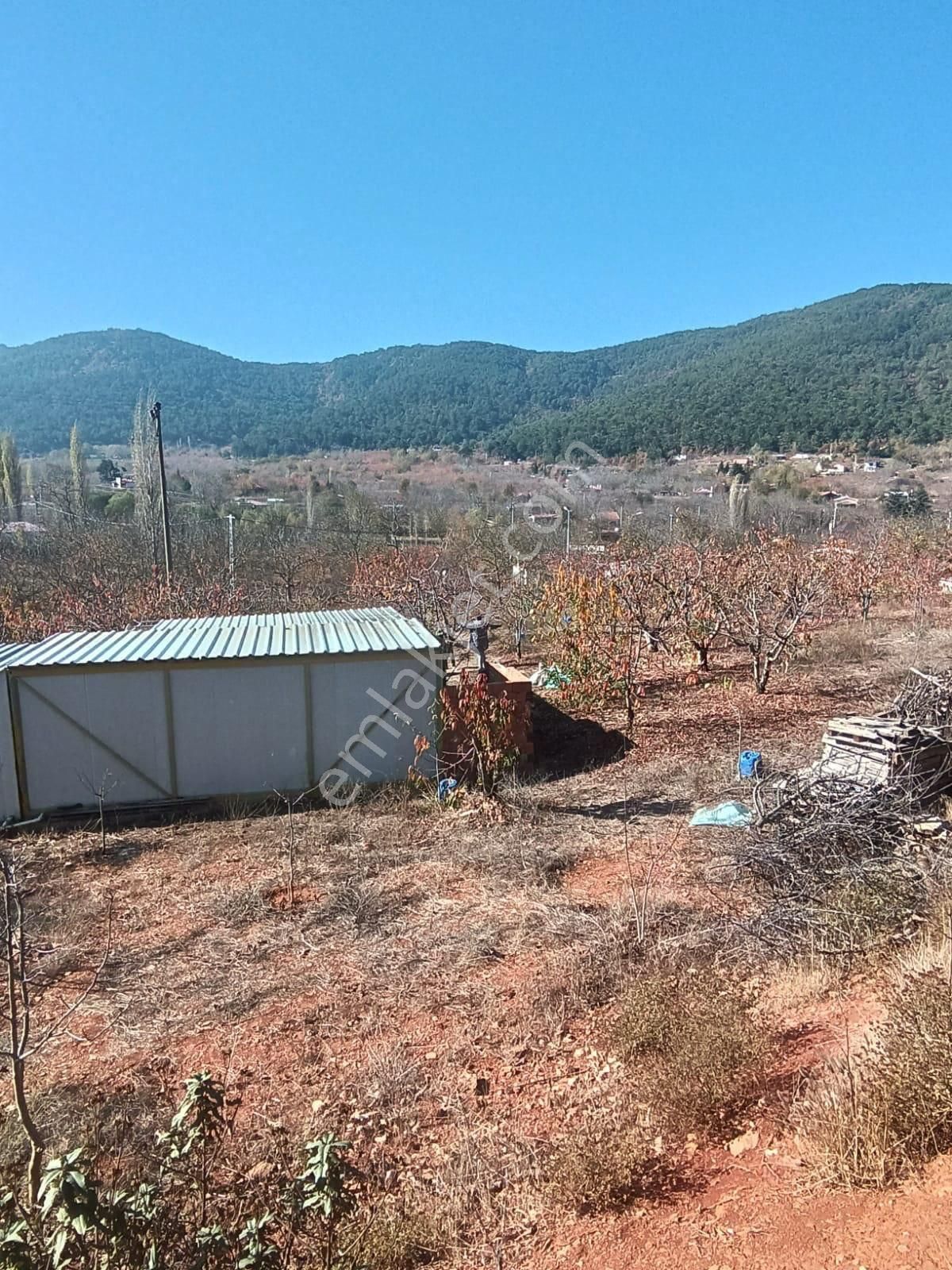 İzmir Bayındır Alankıyıda Muhteşem Konumda İmarlı Satılık Bahçe - Görsel 18