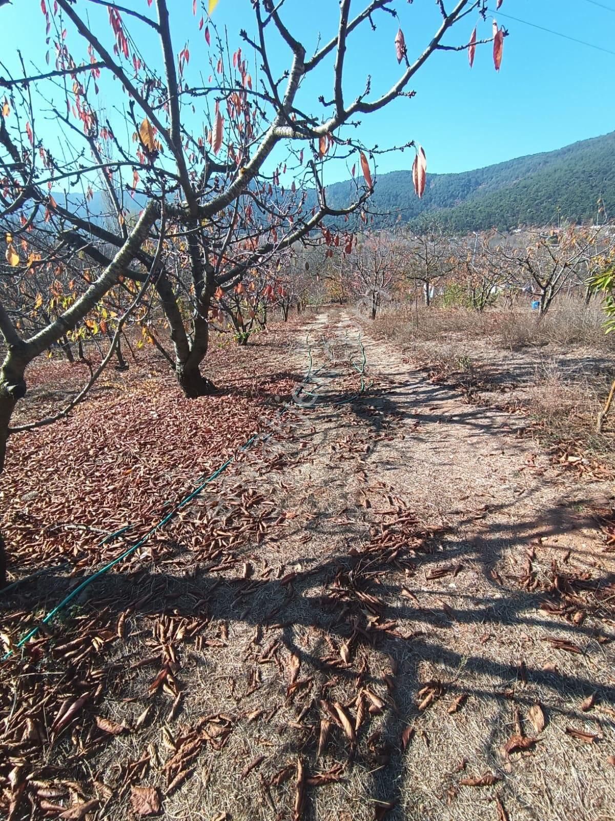 İzmir Bayındır Alankıyıda Muhteşem Konumda İmarlı Satılık Bahçe - Görsel 13
