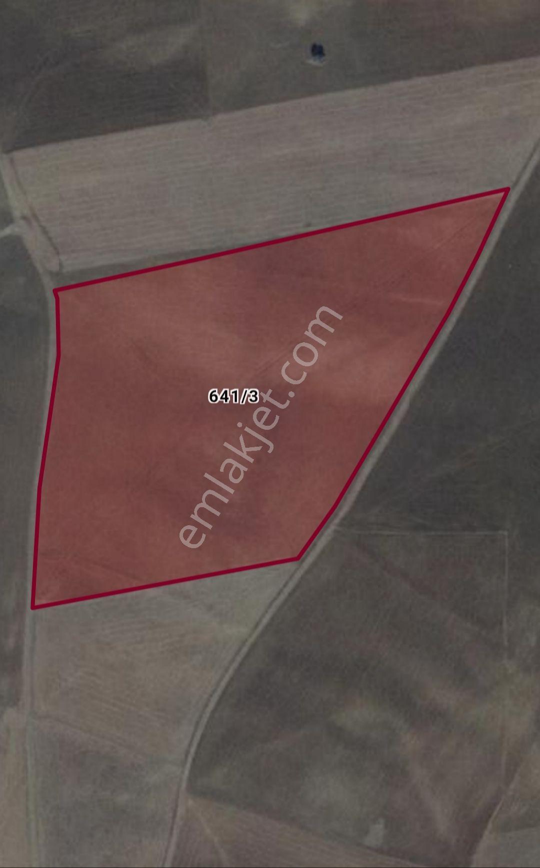 Ankara Balada Acil Satılık Arsa - Görsel 2
