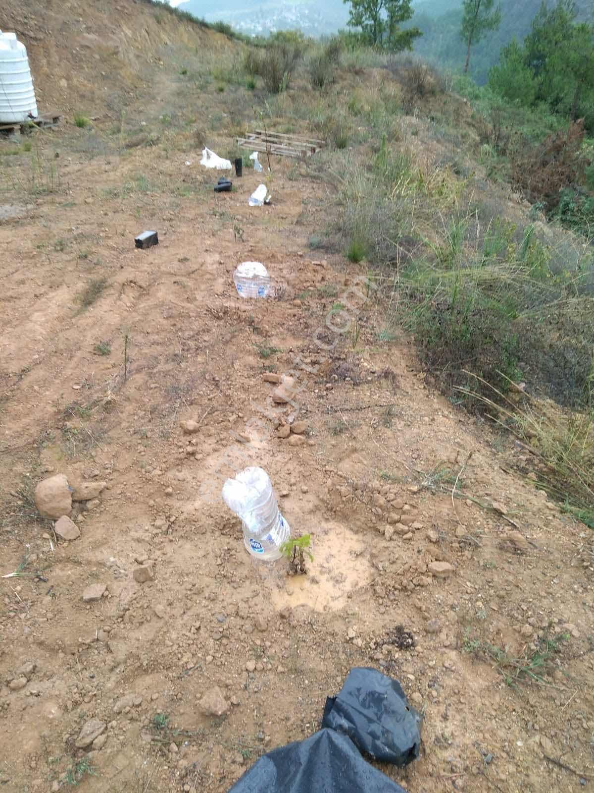 Sakarya Geyve Safibey De Yatırımlık Tarla - Görsel 6