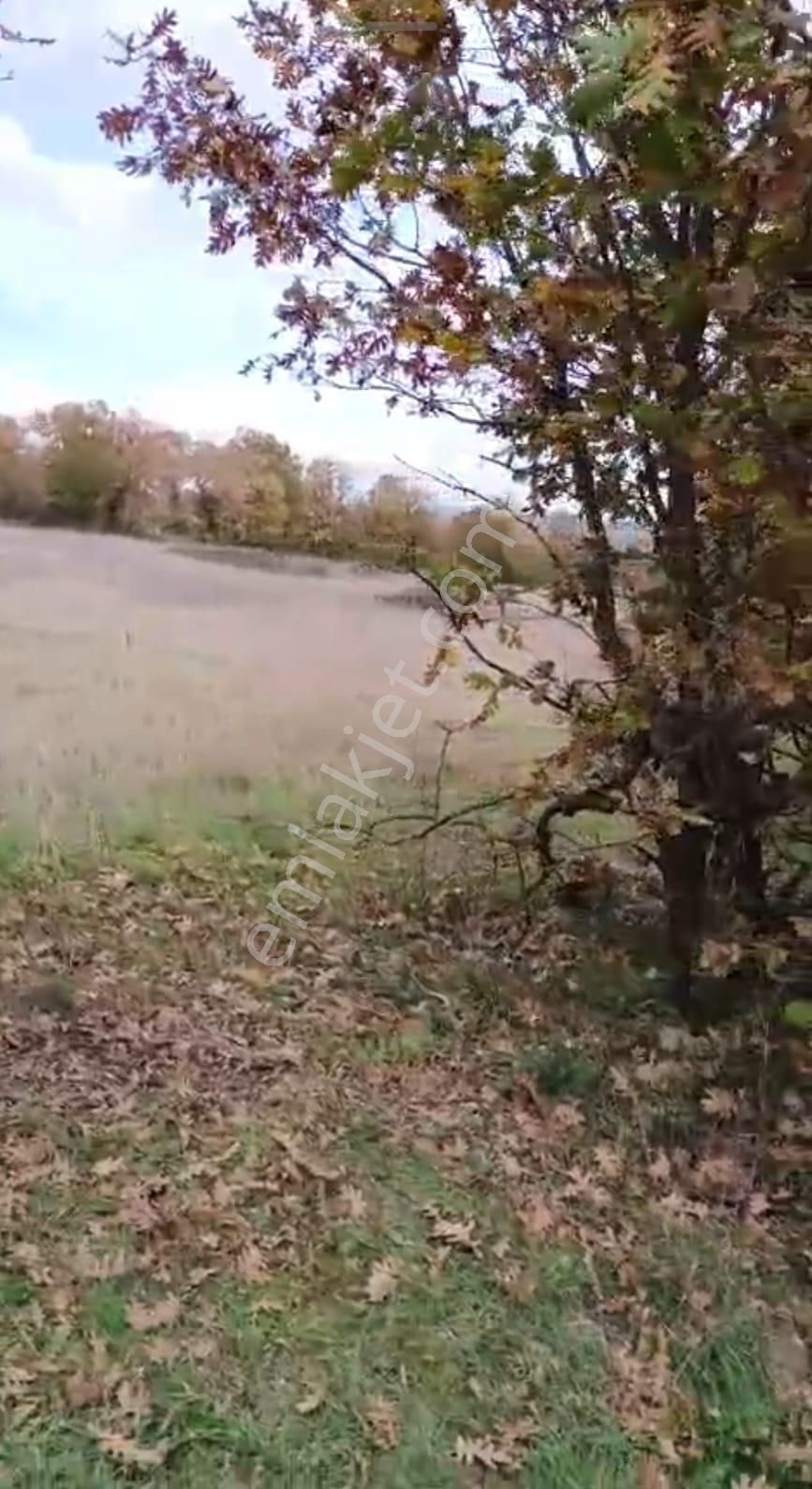 Buse Emlaktan Kalkım Bölgesinde 40 Dönüm Tarla - Görsel 13