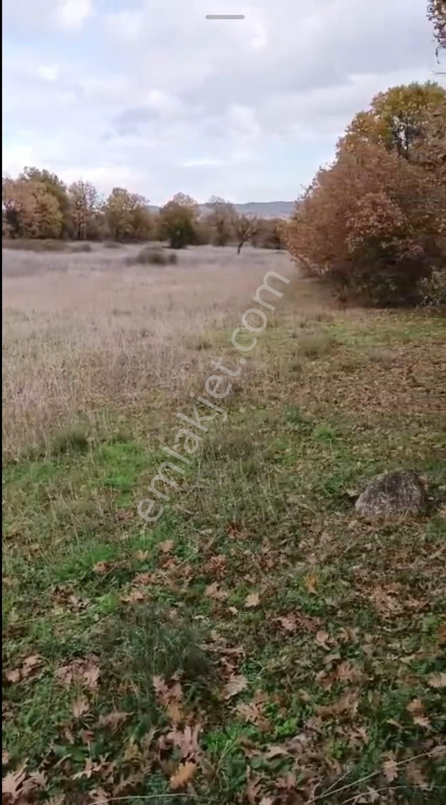 Buse Emlaktan Kalkım Bölgesinde 40 Dönüm Tarla - Görsel 11