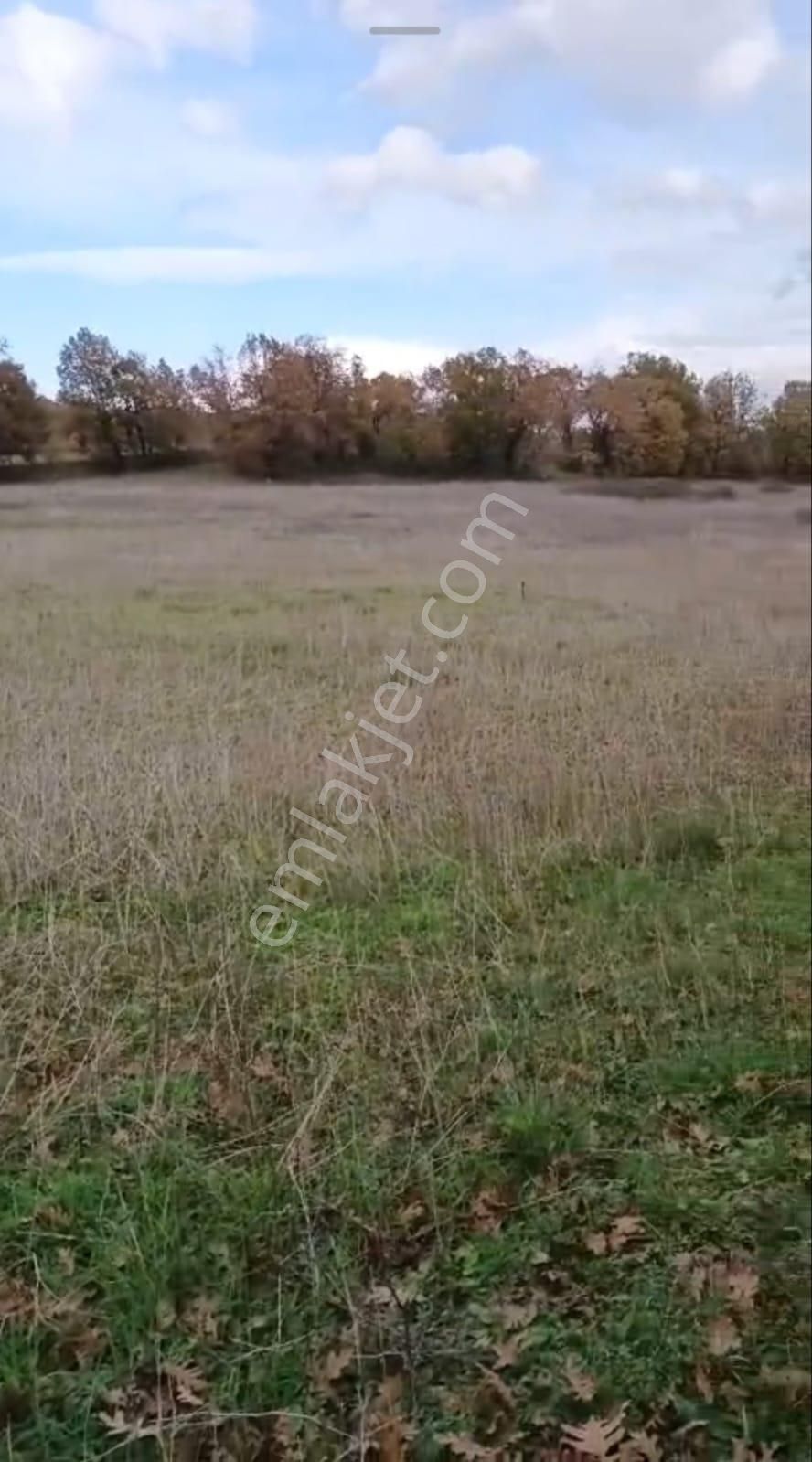 Buse Emlaktan Kalkım Bölgesinde 40 Dönüm Tarla - Görsel 4