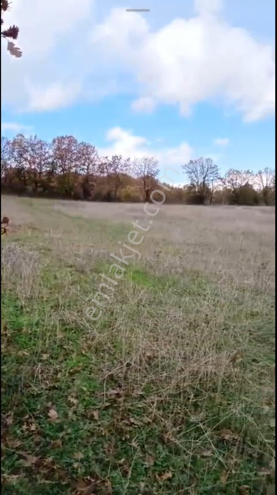 Buse Emlaktan Kalkım Bölgesinde 40 Dönüm Tarla - Görsel 2