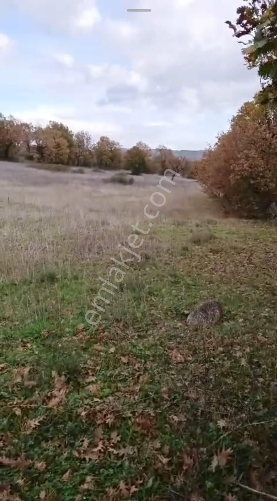 Buse Emlaktan Kalkım Bölgesinde 40 Dönüm Tarla - Görsel 8